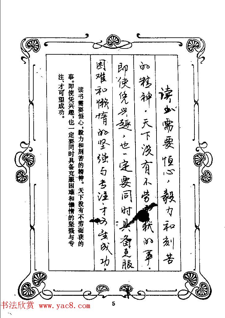 赵忱硬笔书法字帖《罗兰小语钢笔书法》