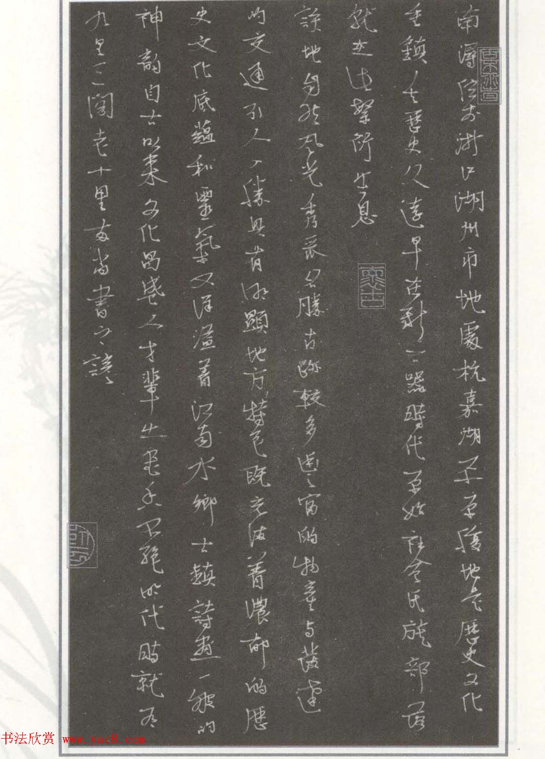 硬笔书法作品集《草书名家精品欣赏》