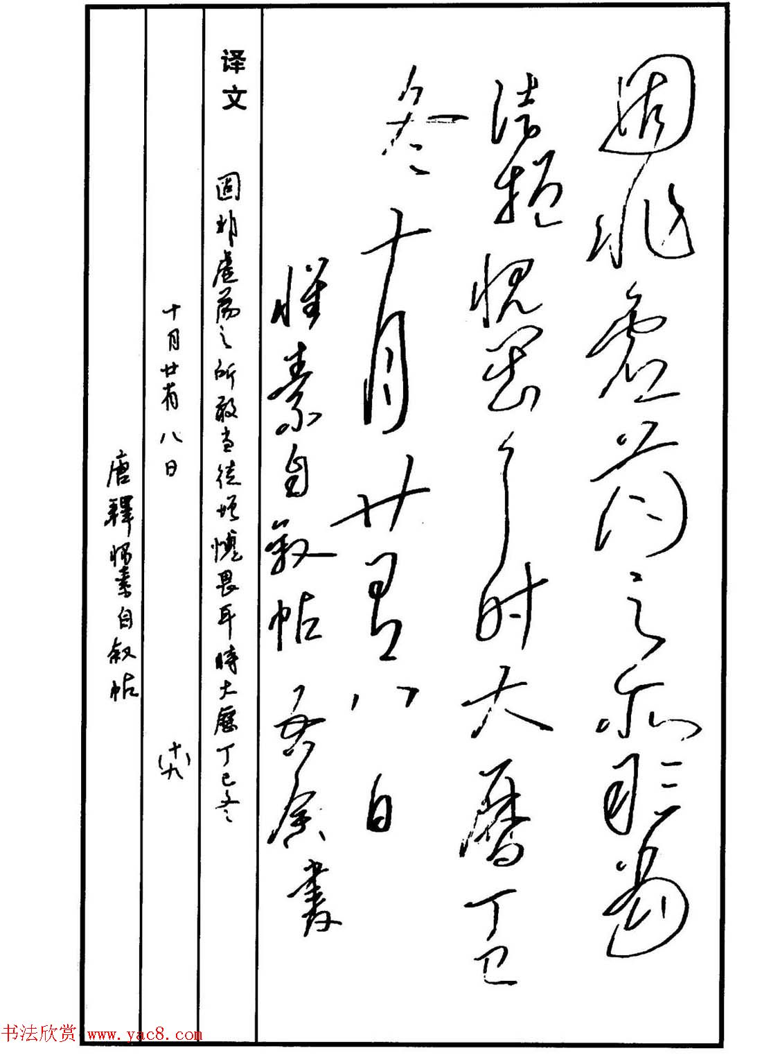 硬笔书法作品集《草书名家精品欣赏》