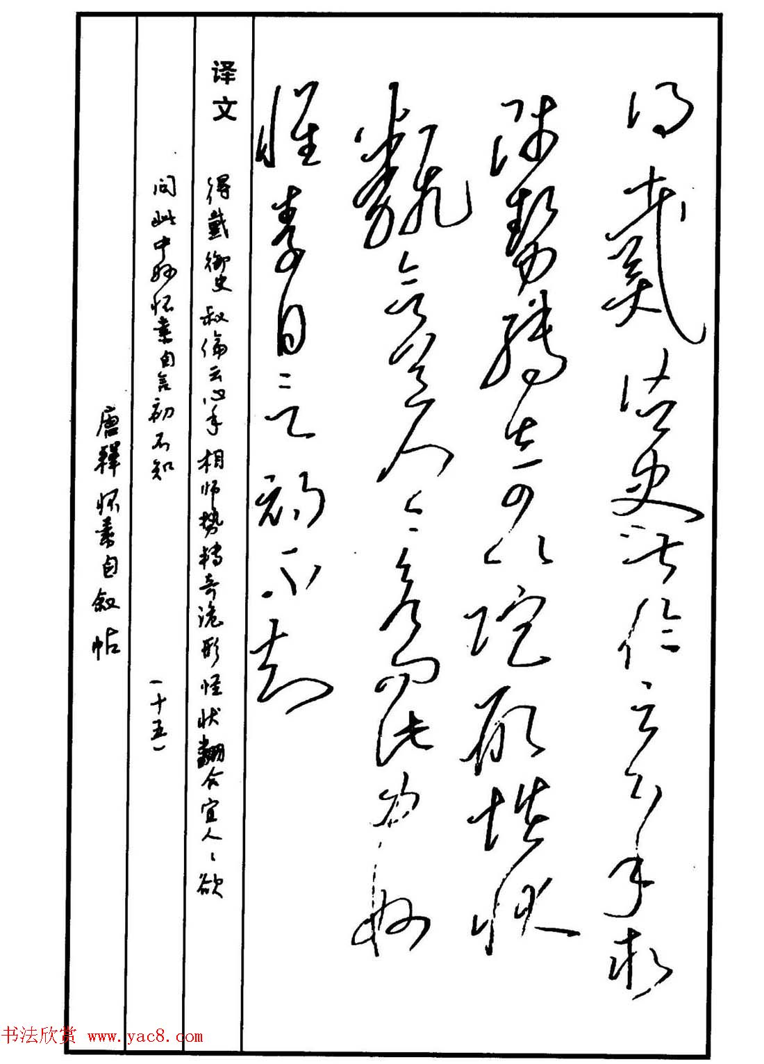 硬笔书法作品集《草书名家精品欣赏》