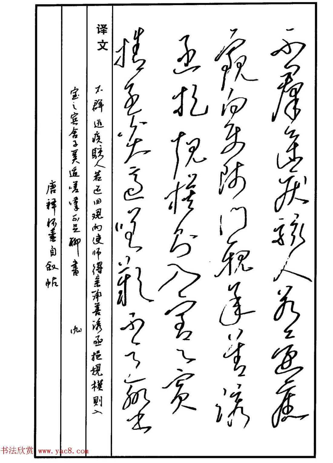 硬笔书法作品集《草书名家精品欣赏》