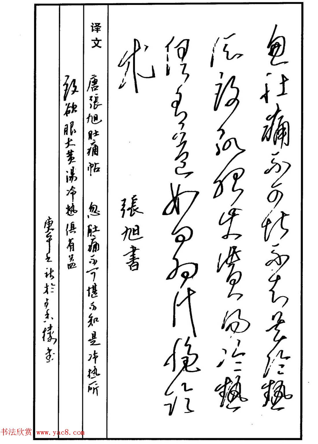 硬笔书法作品集《草书名家精品欣赏》