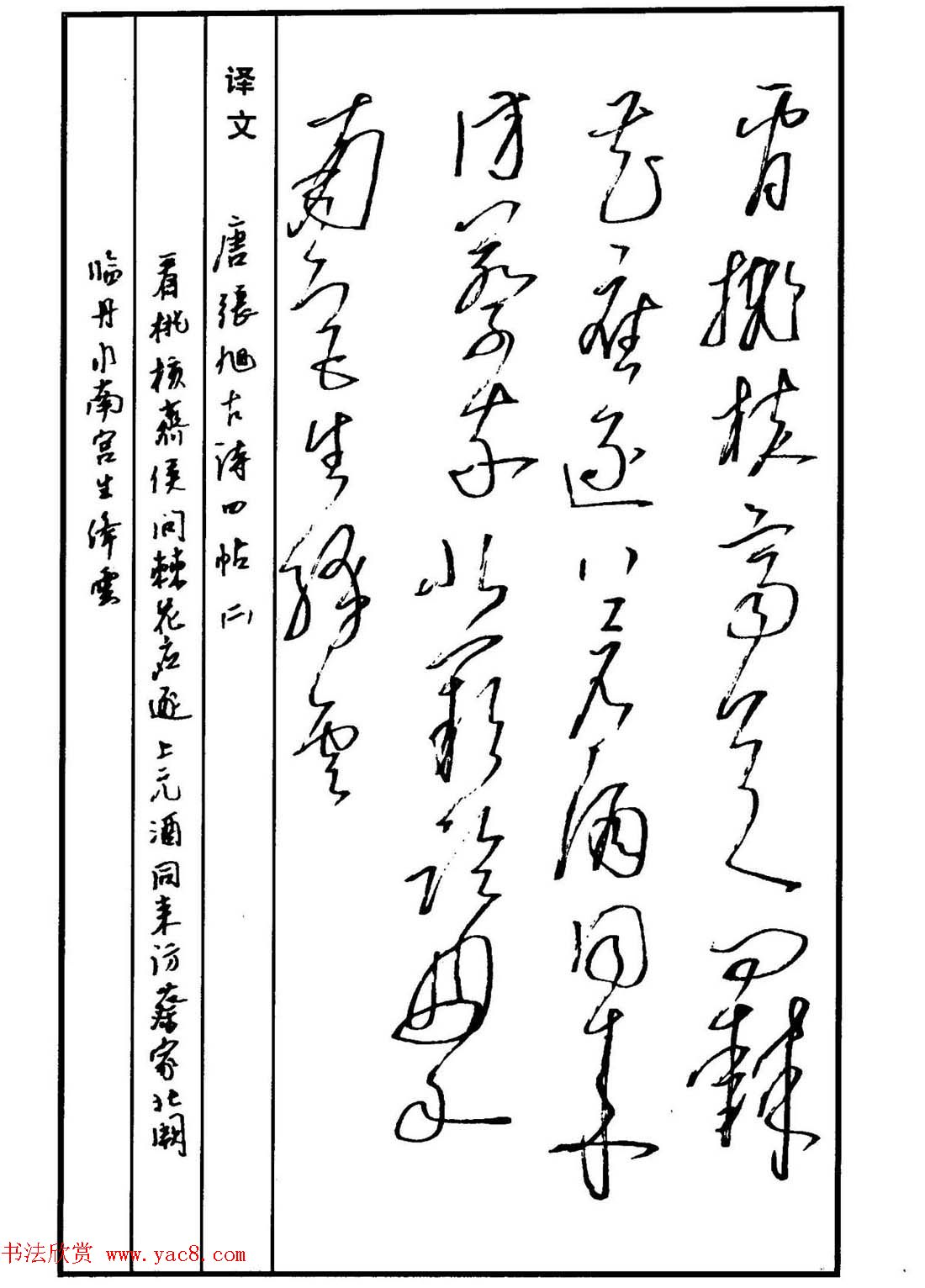 硬笔书法作品集《草书名家精品欣赏》