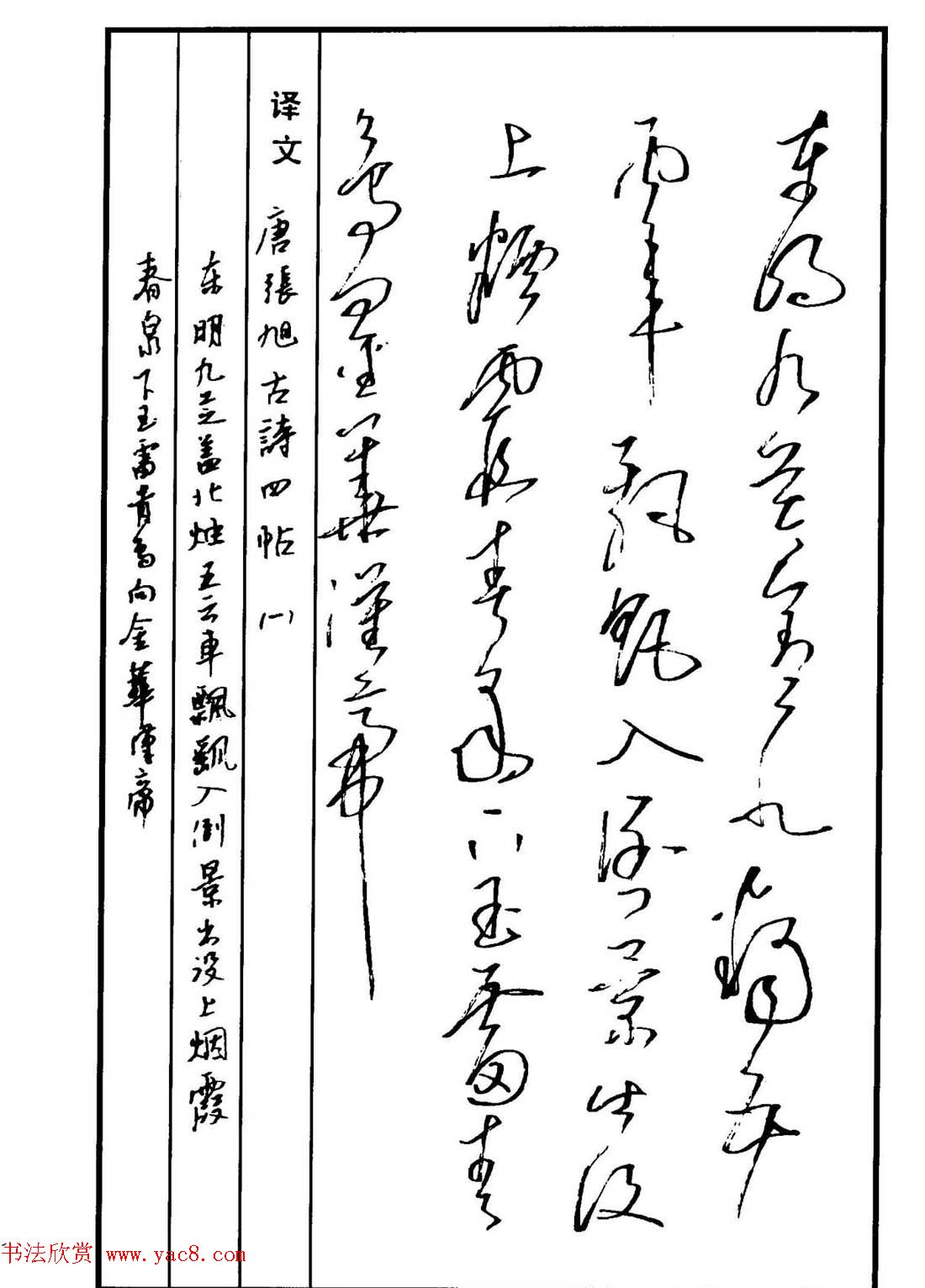 硬笔书法作品集《草书名家精品欣赏》