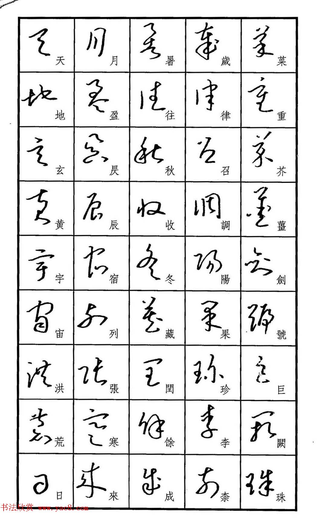 梧桐钢笔书帖《标准草书范字》