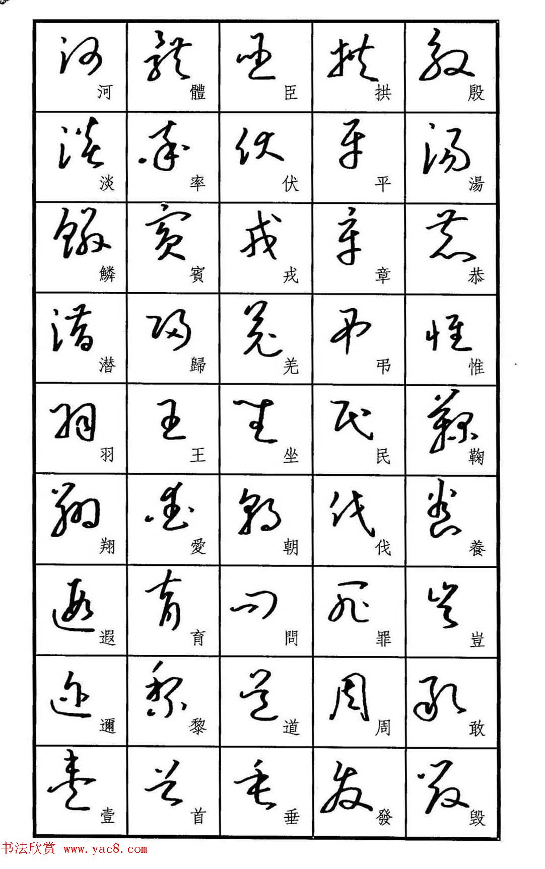 梧桐钢笔书帖《标准草书范字》