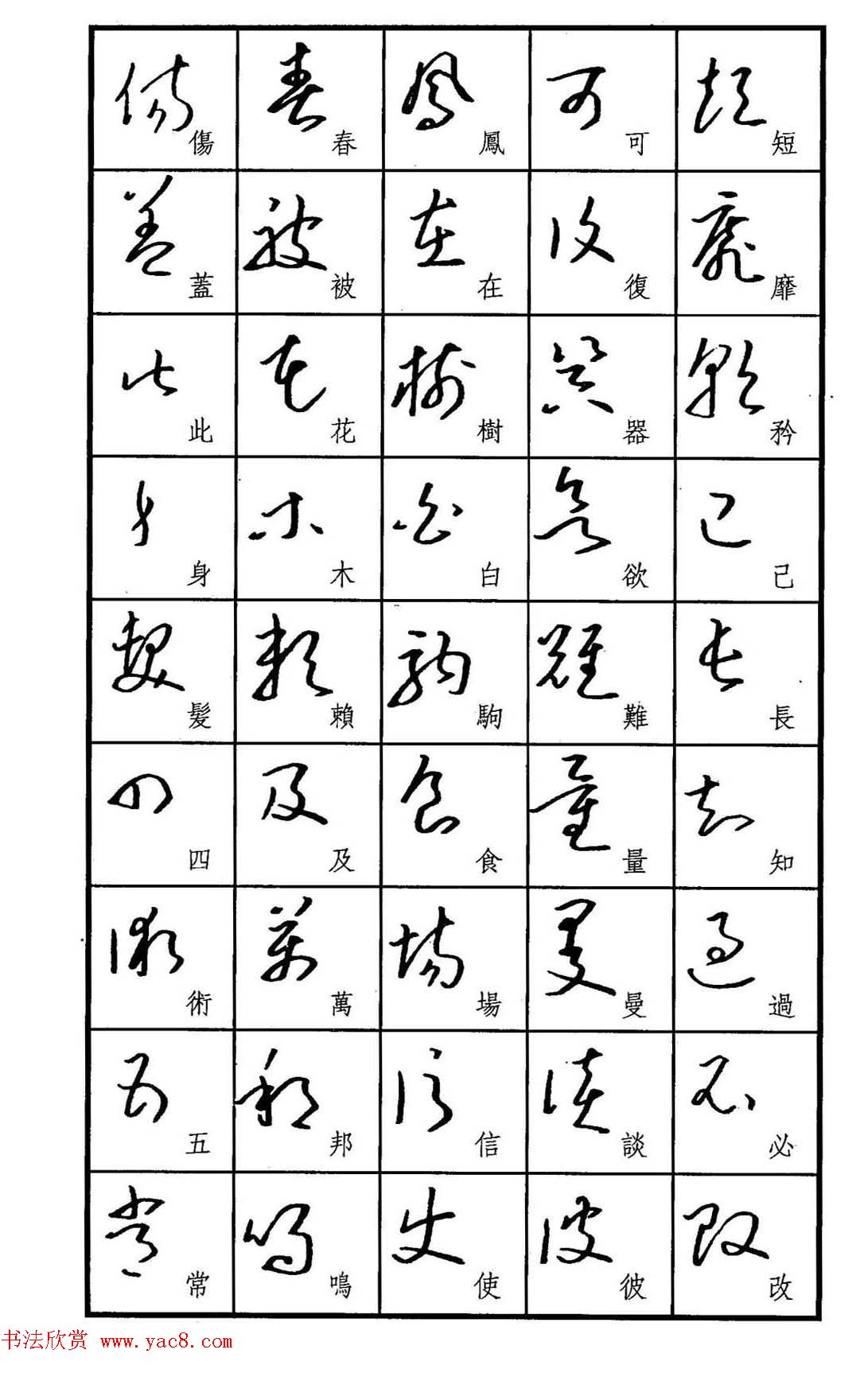 梧桐钢笔书帖《标准草书范字》