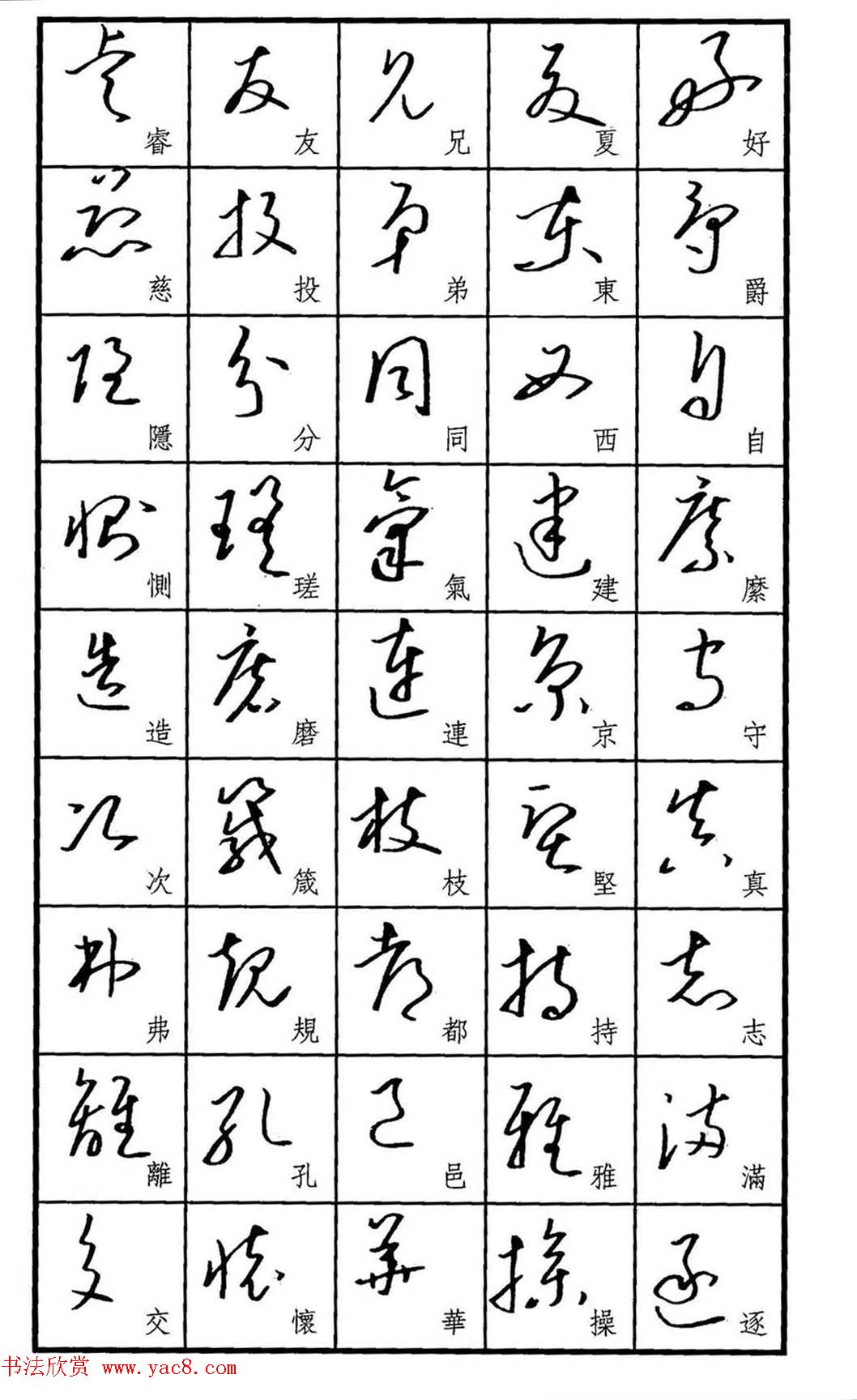 梧桐钢笔书帖《标准草书范字》