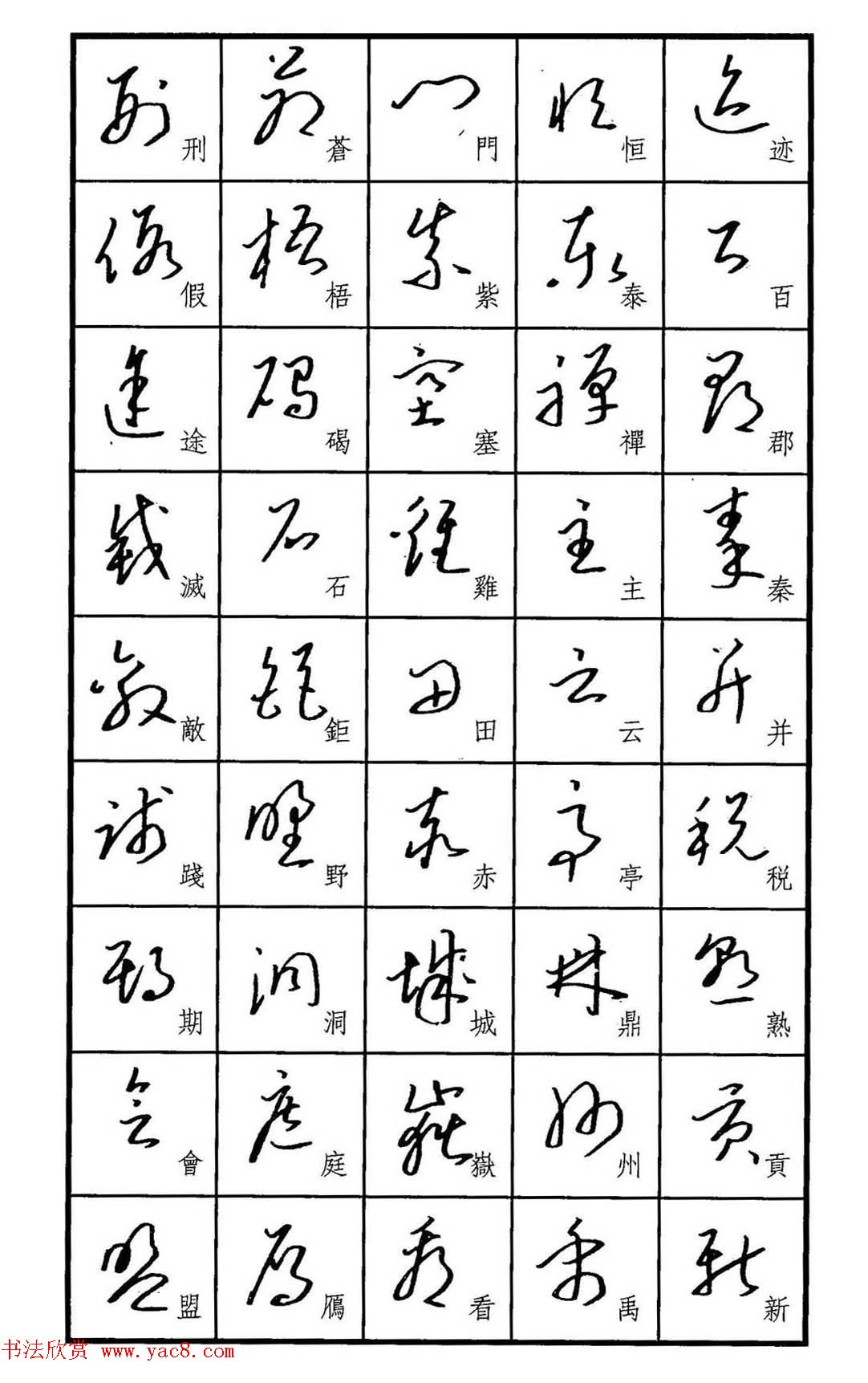 梧桐钢笔书帖《标准草书范字》