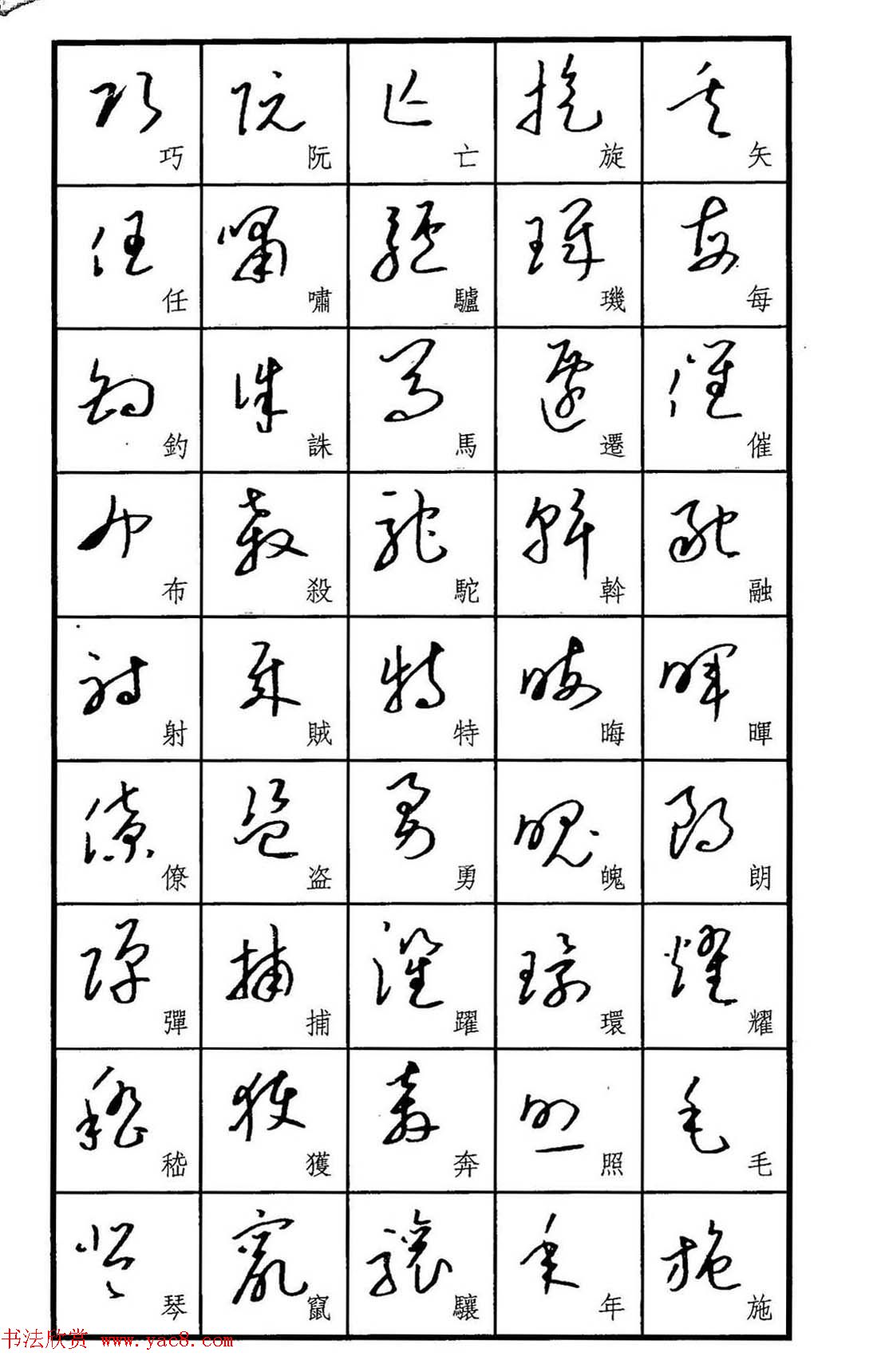 梧桐钢笔书帖《标准草书范字》