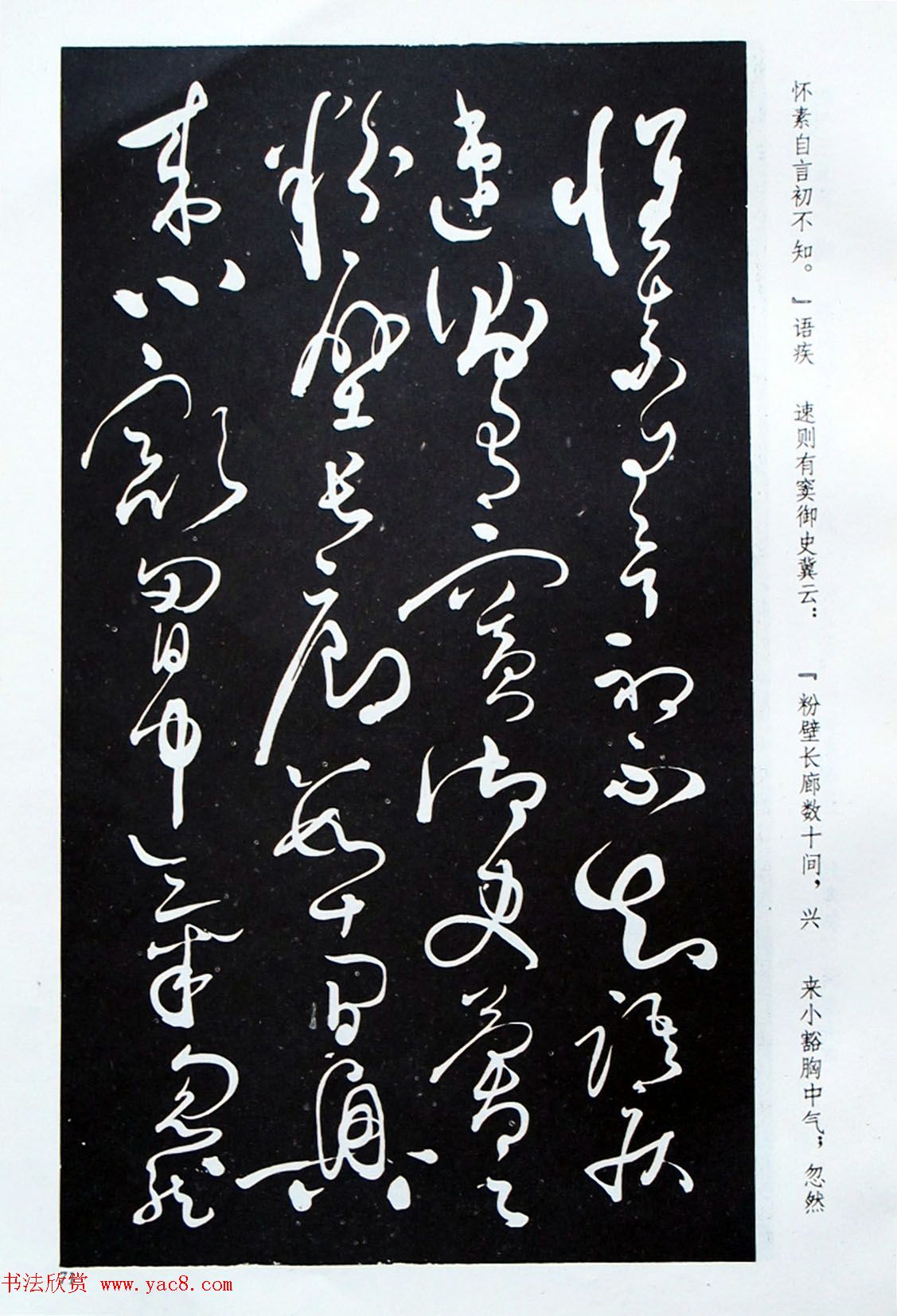 《怀素草书自叙帖》蜀中石氏藏本