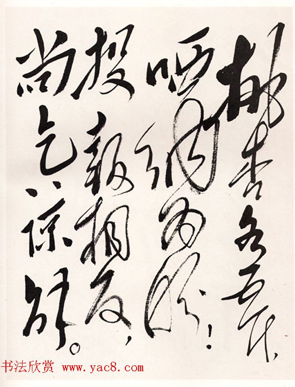 毛泽东手书信札墨迹欣赏