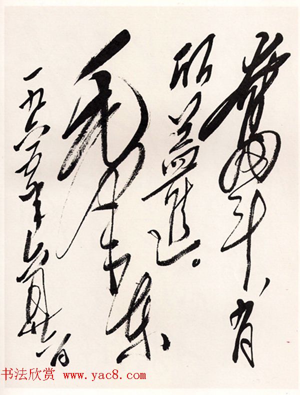 毛泽东手书信札墨迹欣赏