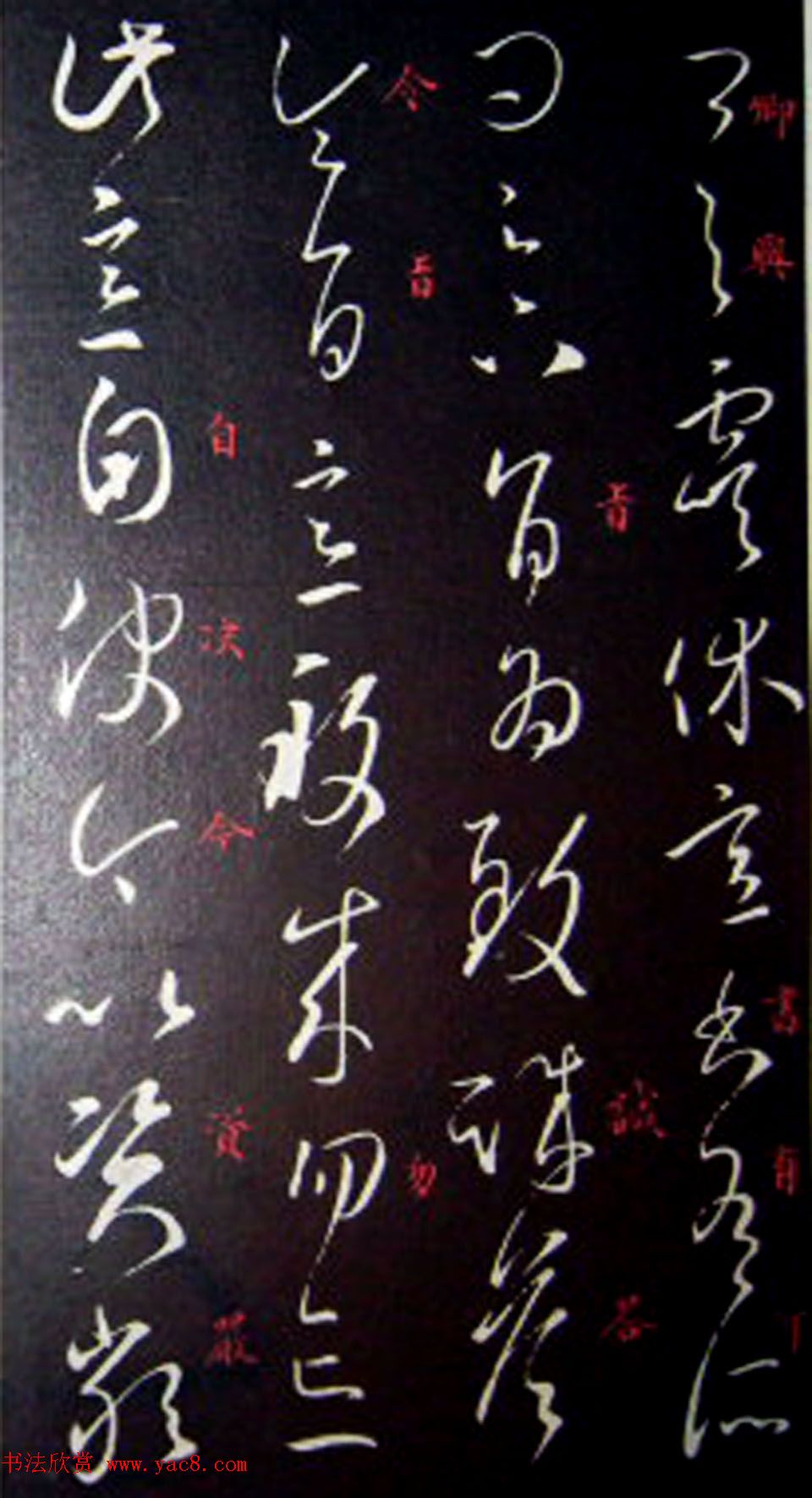 南唐刻本《澄清堂帖·王右军帖》合辑