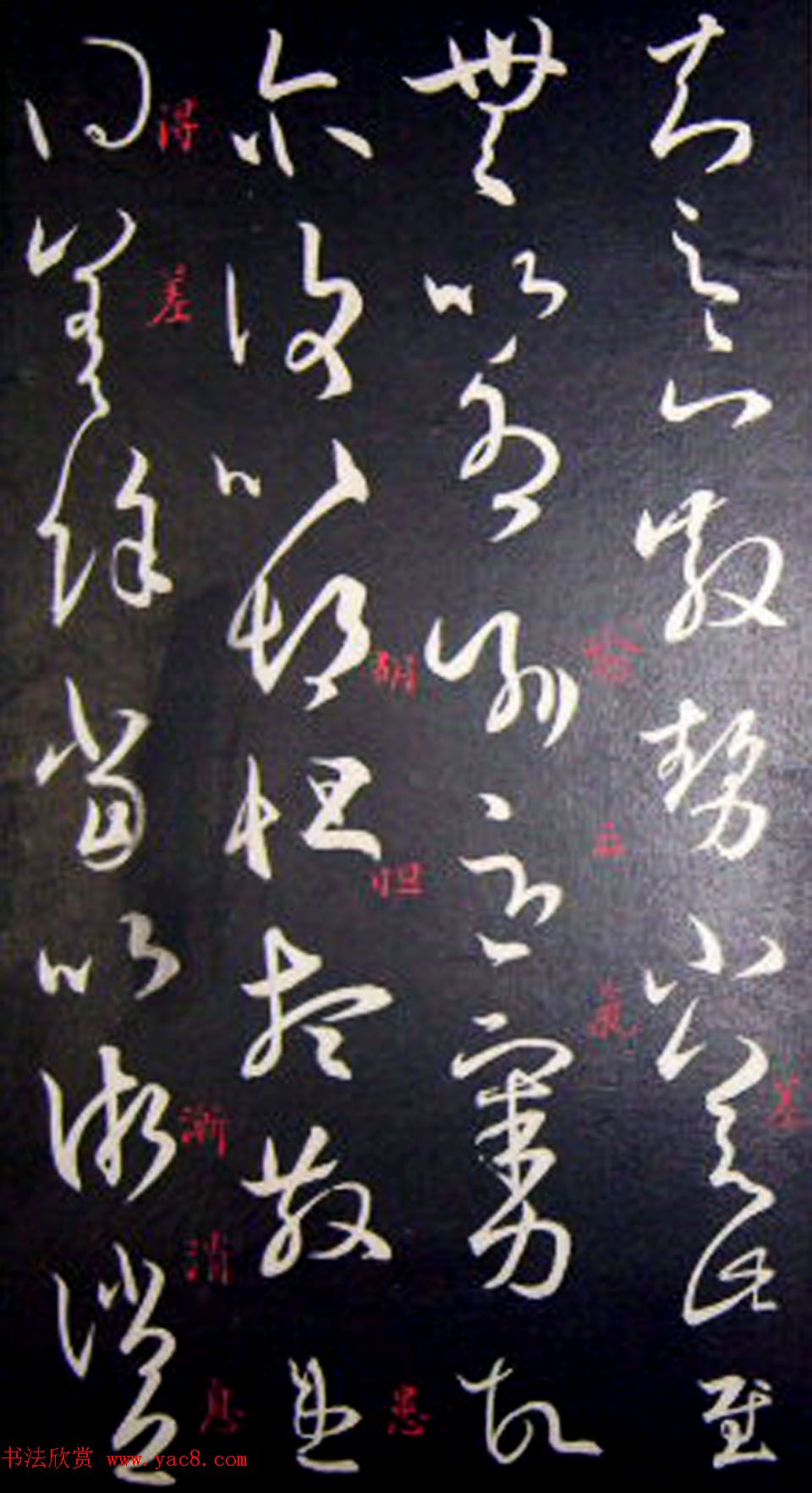 南唐刻本《澄清堂帖·王右军帖》合辑