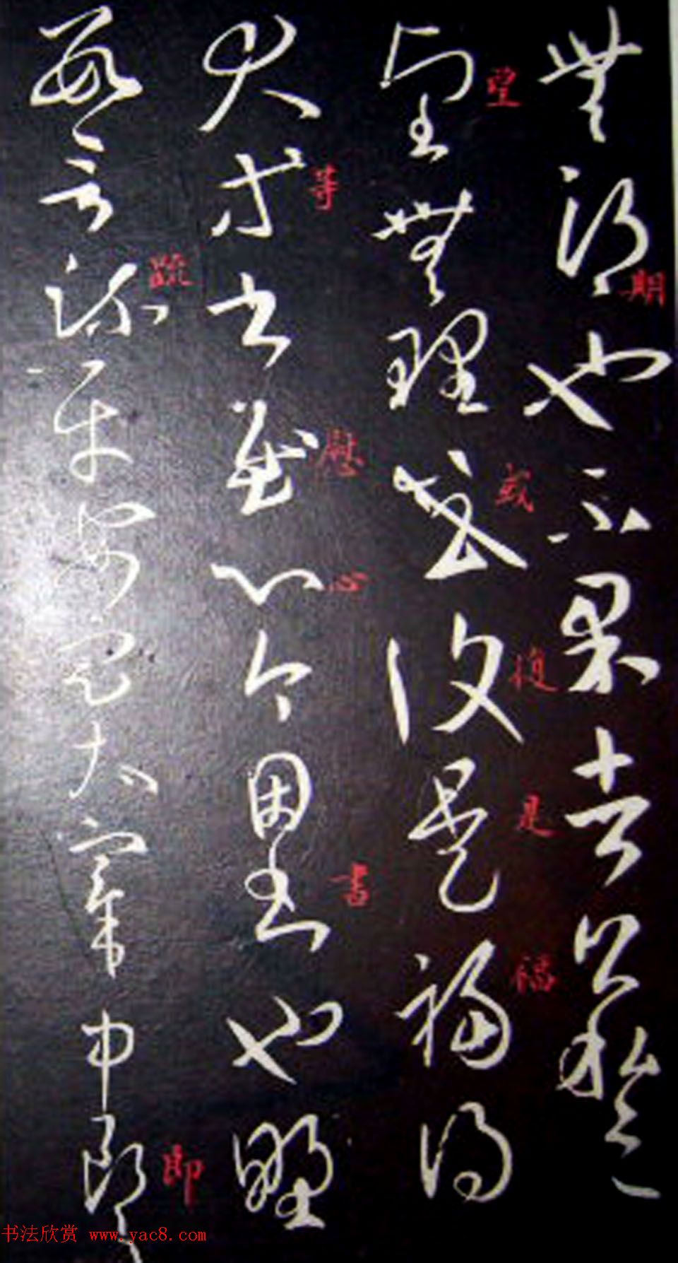 南唐刻本《澄清堂帖·王右军帖》合辑