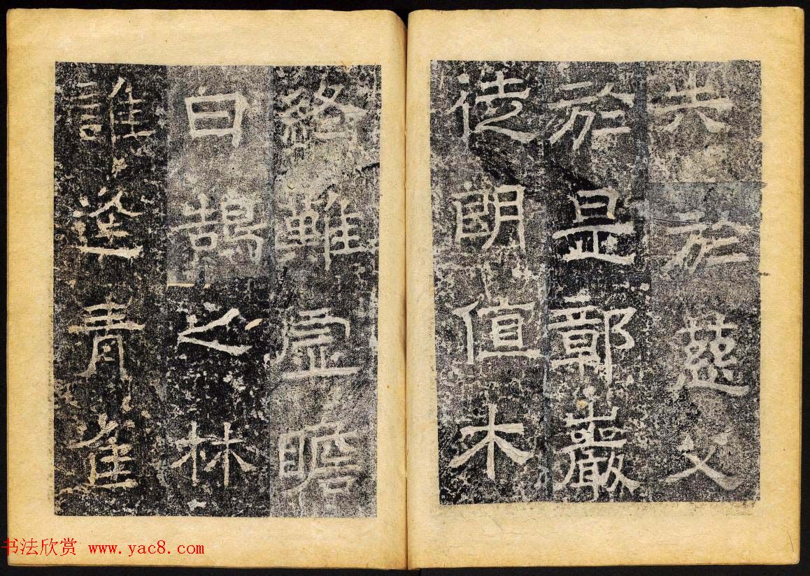 北齐书法石刻欣赏《临淮王像碑》上册