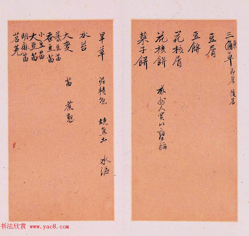 明代徐光启手迹欣赏《农政全书札记册》