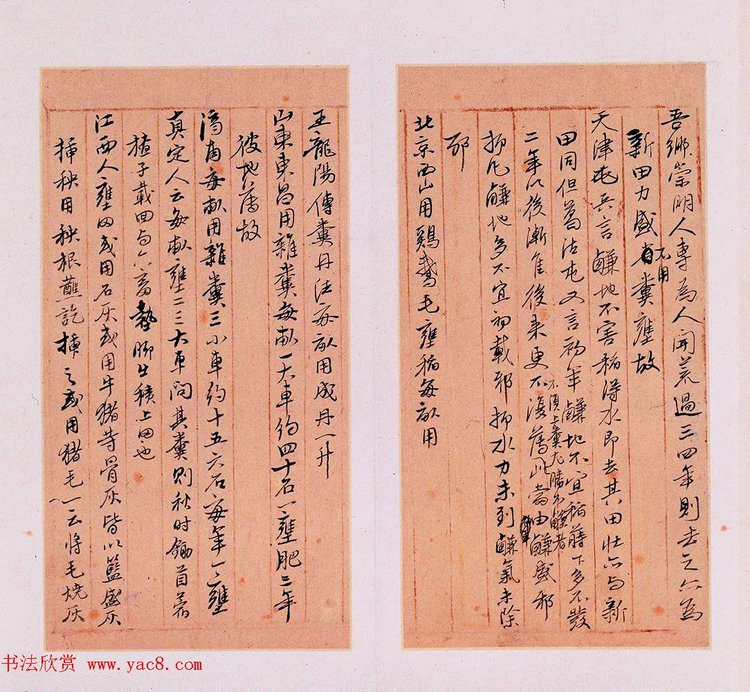 明代徐光启手迹欣赏《农政全书札记册》 明代徐光启手迹欣赏《农政全书札记册》