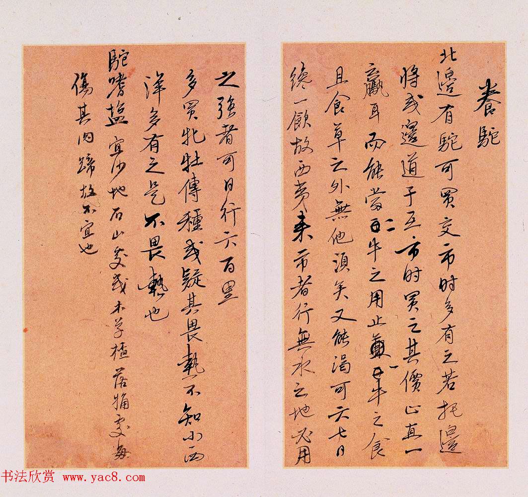 明代徐光启手迹欣赏《农政全书札记册》 明代徐光启手迹欣赏《农政全书札记册》