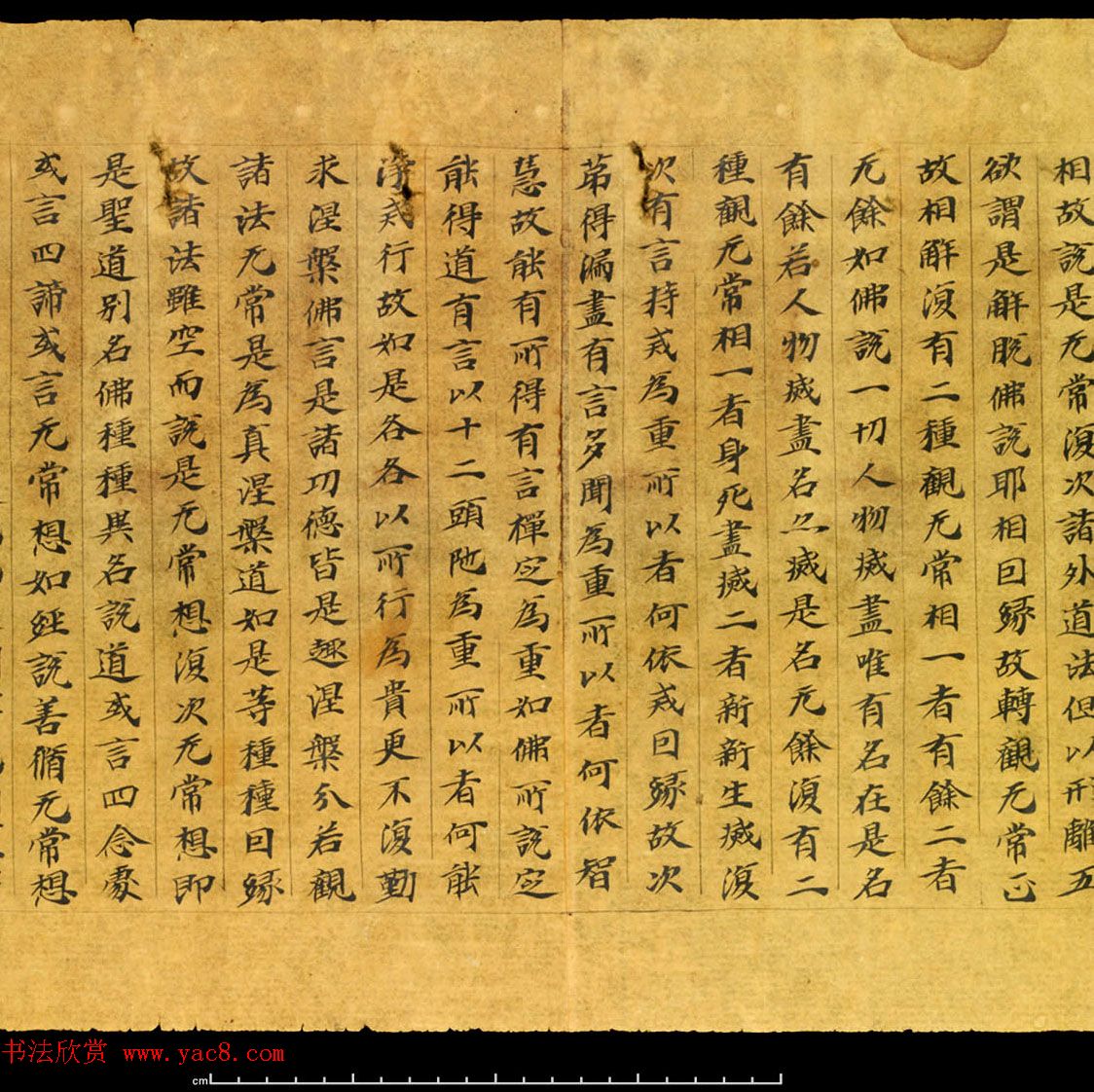 敦煌珍品_大智度初品中想品第三十五释论