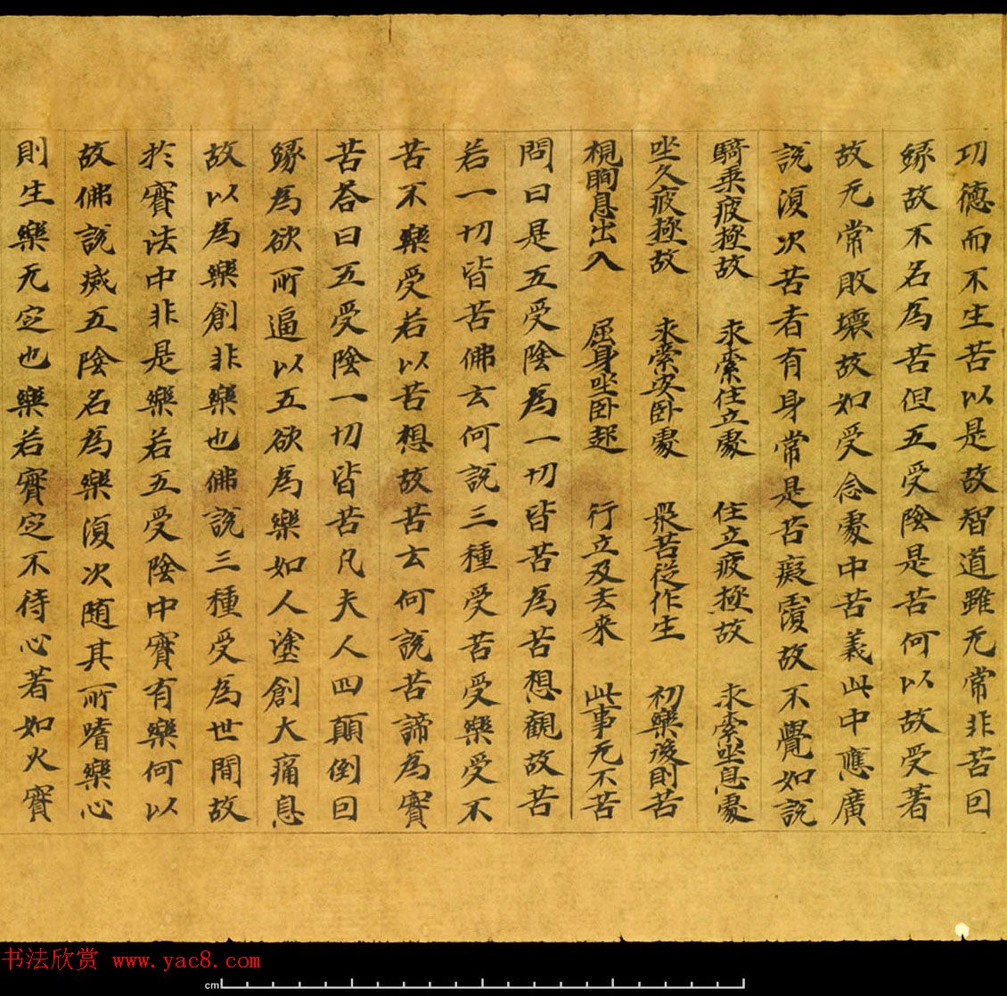 敦煌珍品_大智度初品中想品第三十五释论