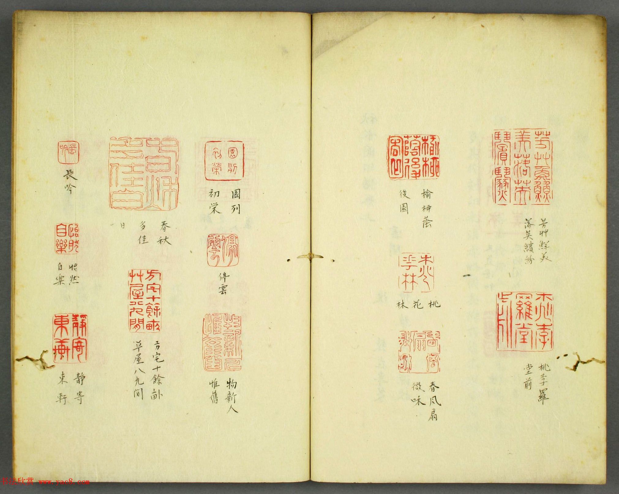 早稻田大学图书《秋水园印谱》大图