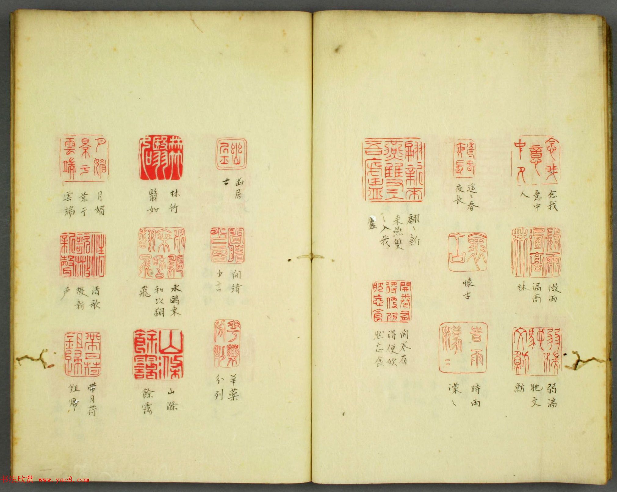 早稻田大学图书《秋水园印谱》大图