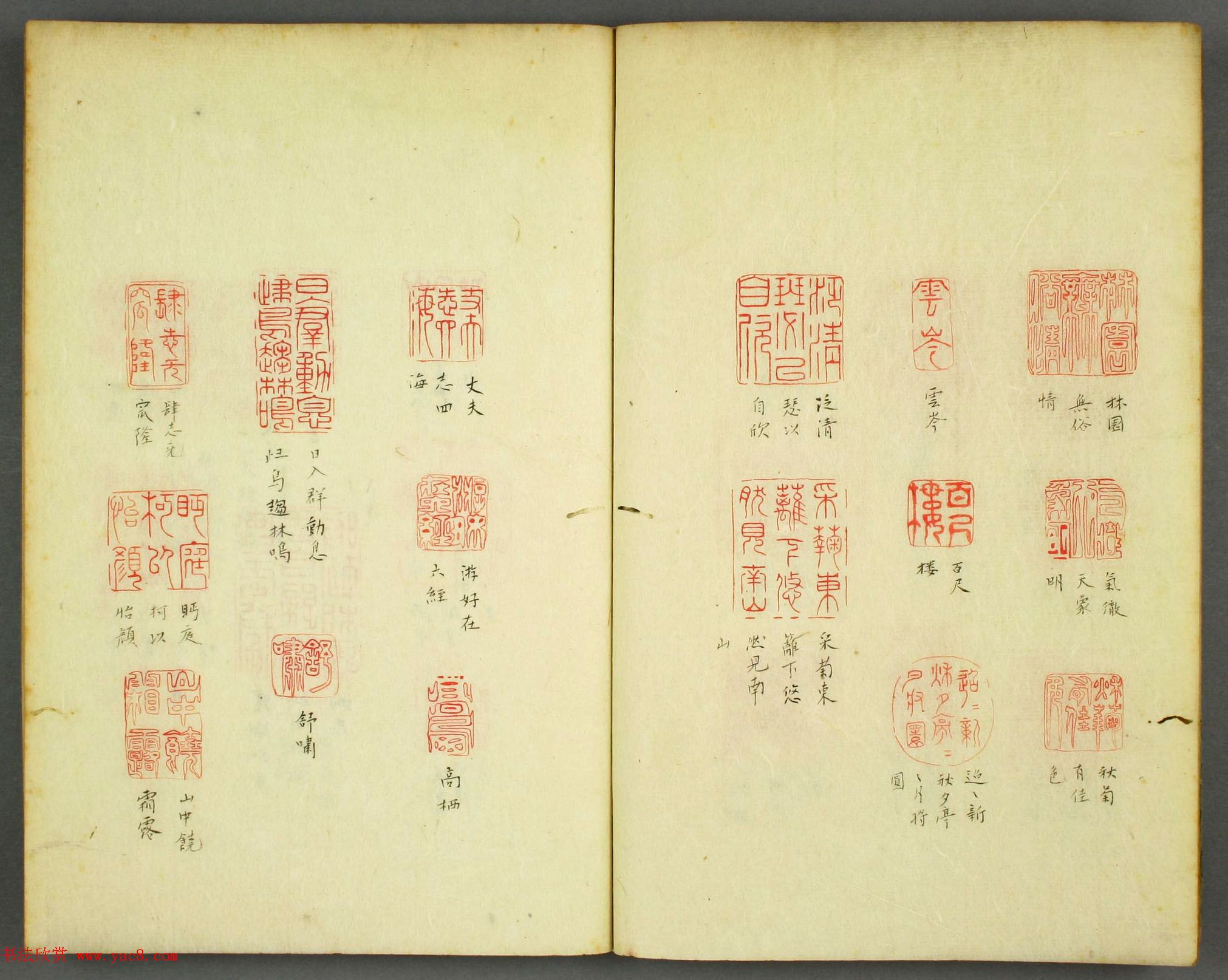 早稻田大学图书《秋水园印谱》大图