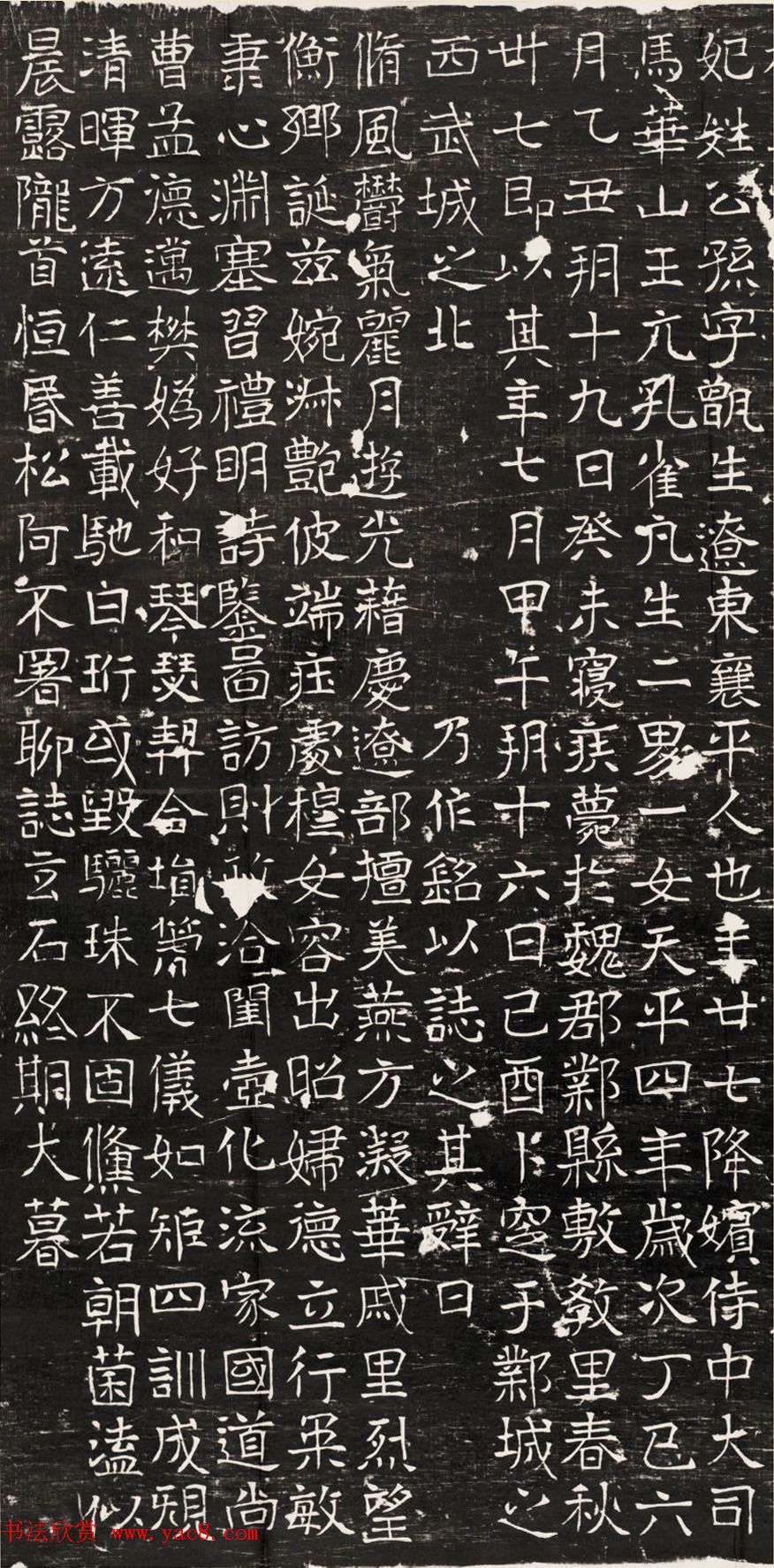 东魏元鸷妃公孙甑生墓志铭