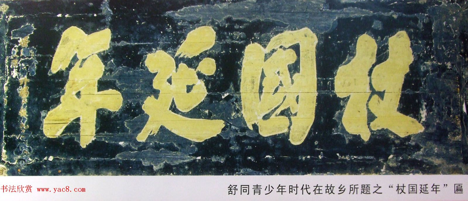 纪念舒同诞辰110周年--舒同舒安书画展