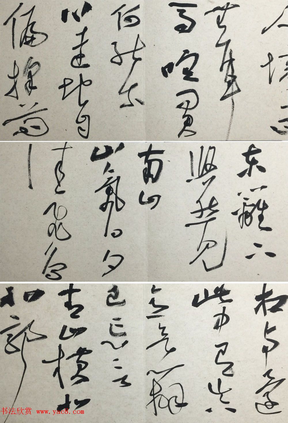 知镰草书册页《金泽珊大草诗册》