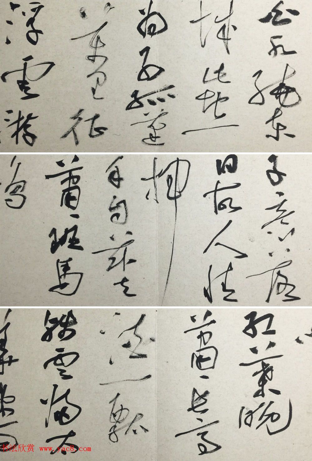 知镰草书册页《金泽珊大草诗册》