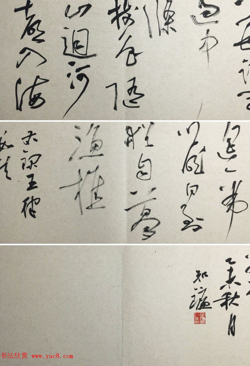 知镰草书册页《金泽珊大草诗册》