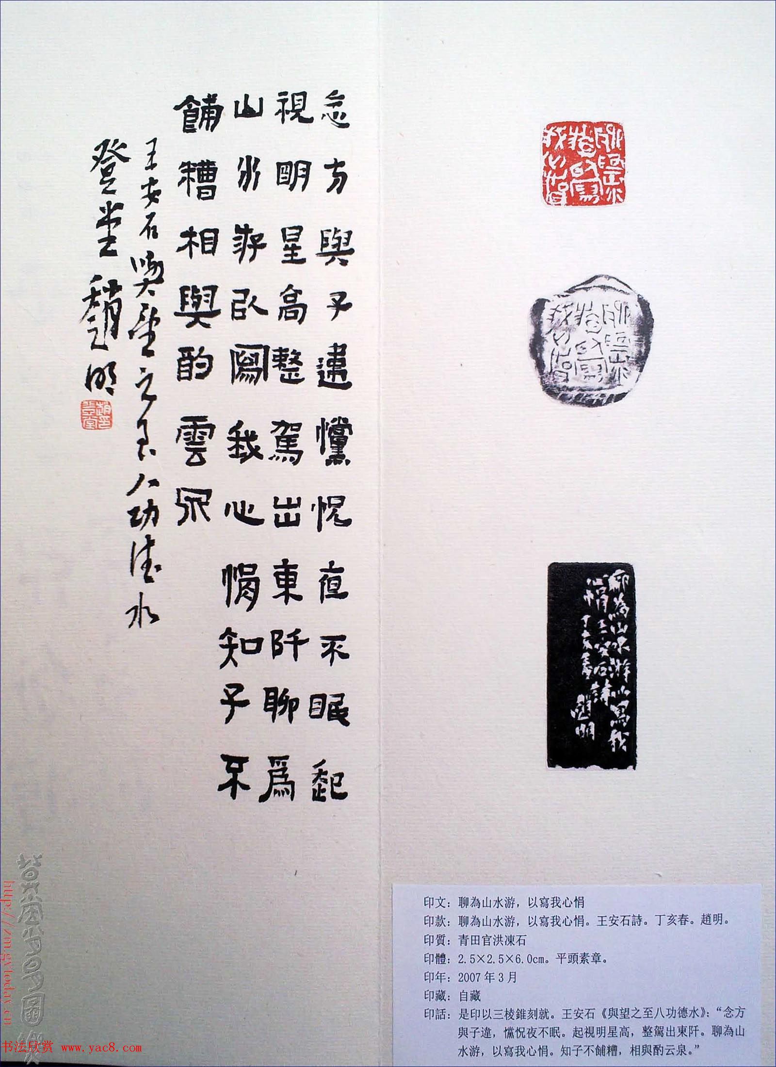 赵明书法篆刻欣赏白文古玺精选寅集