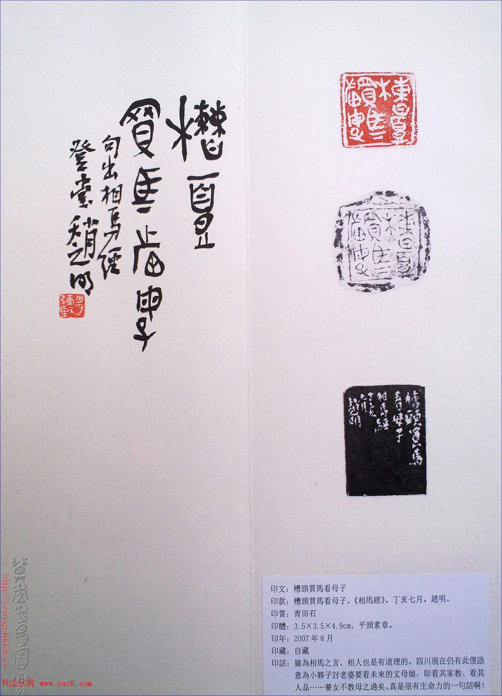 赵明书法篆刻欣赏白文古玺精选寅集