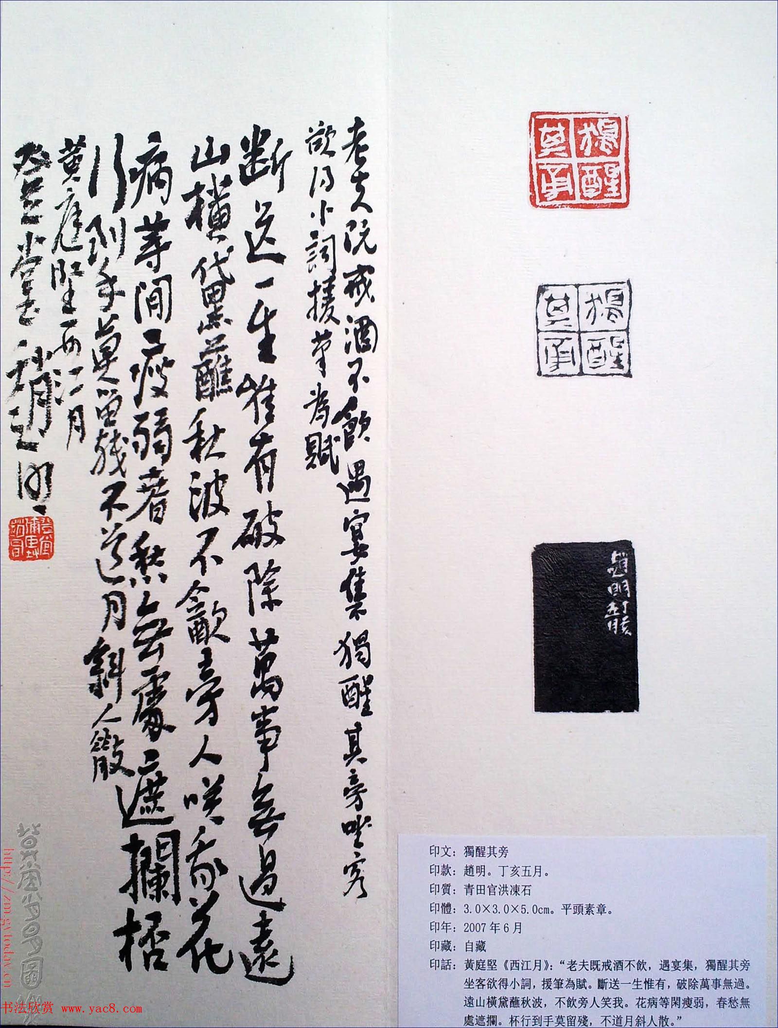 赵明书法篆刻欣赏白文古玺精选寅集