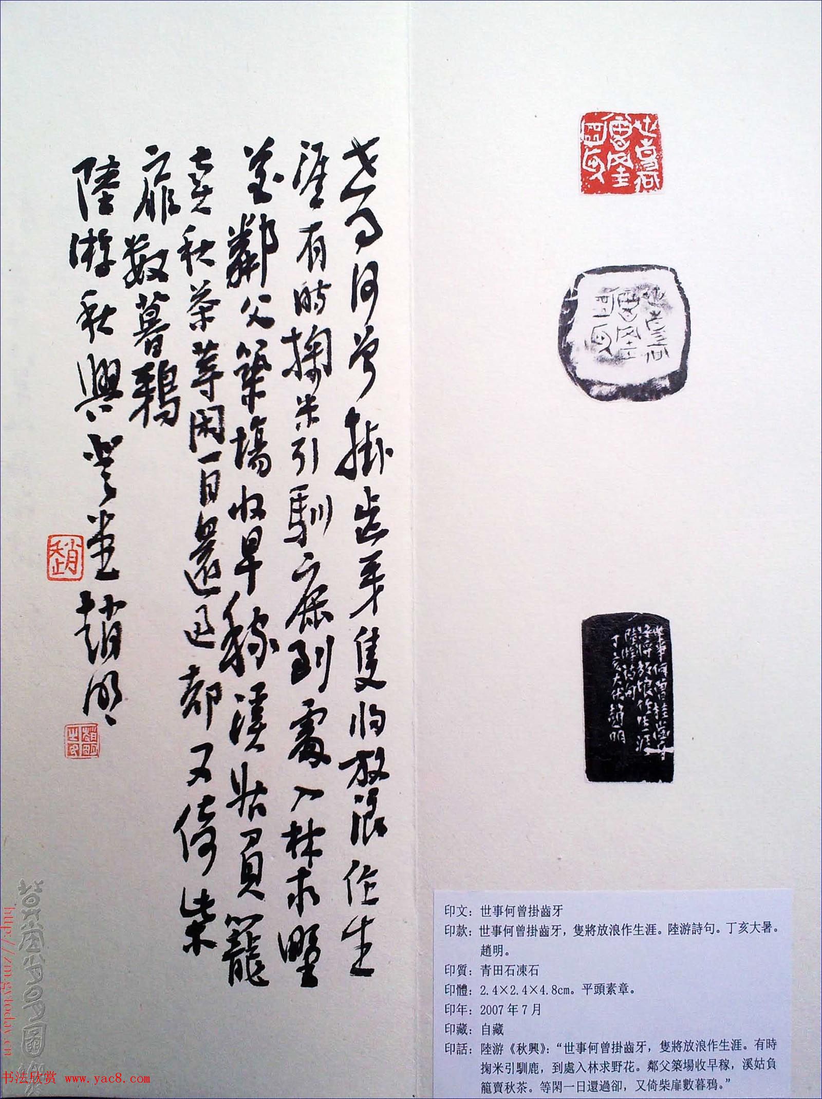 赵明书法篆刻欣赏白文古玺精选寅集