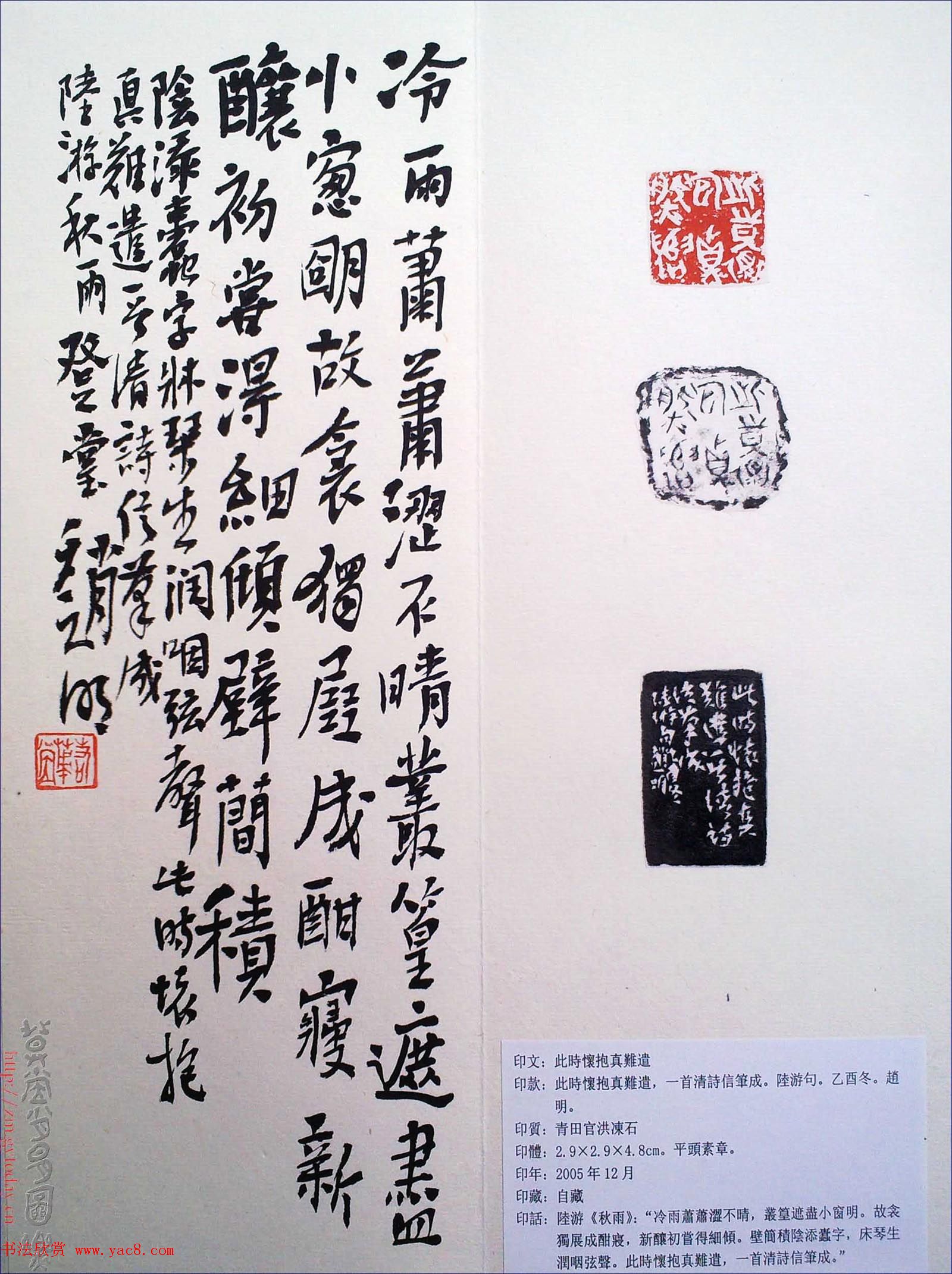 赵明书法篆刻欣赏白文古玺精选寅集