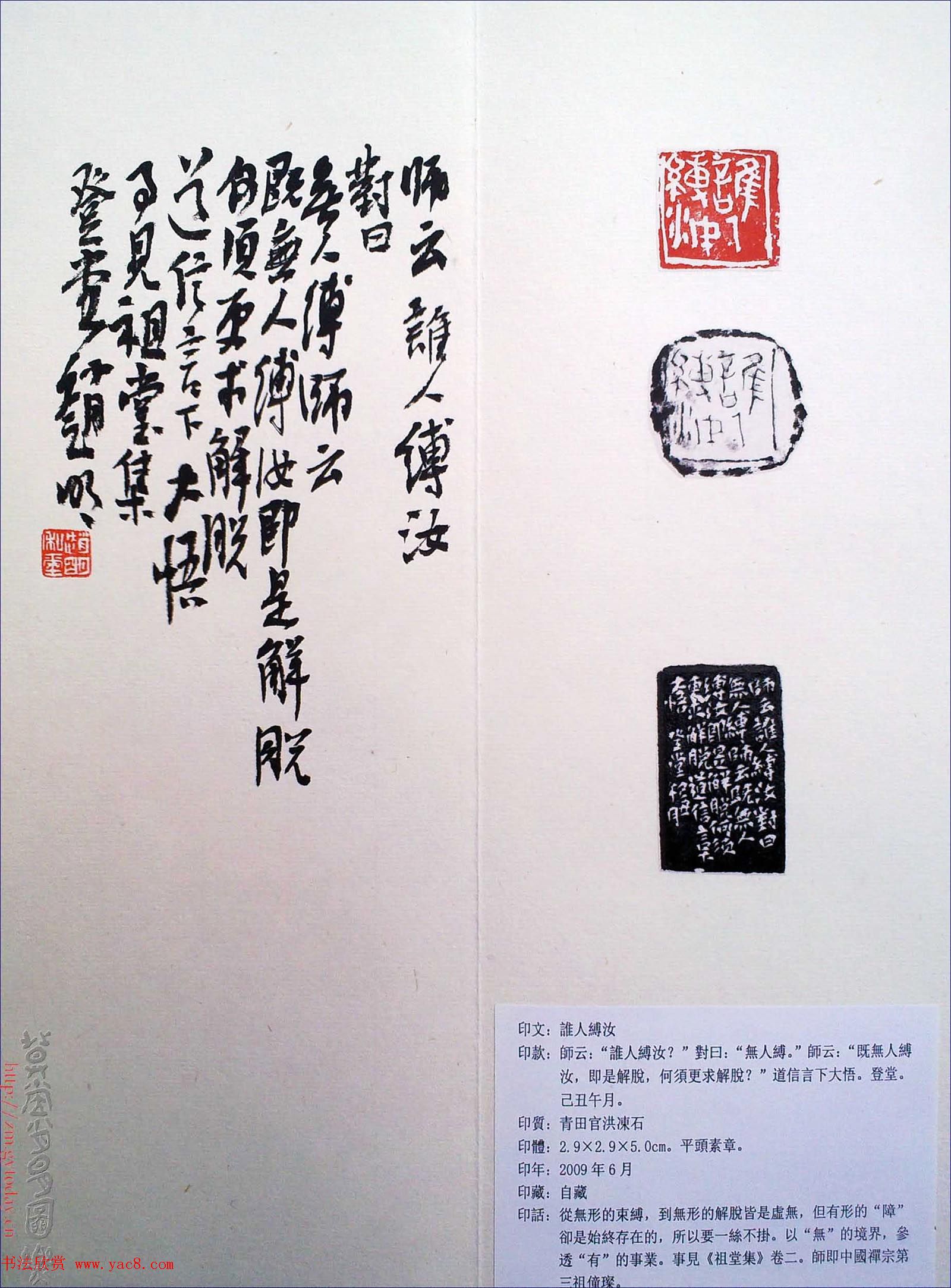 赵明书法篆刻欣赏白文古玺精选寅集