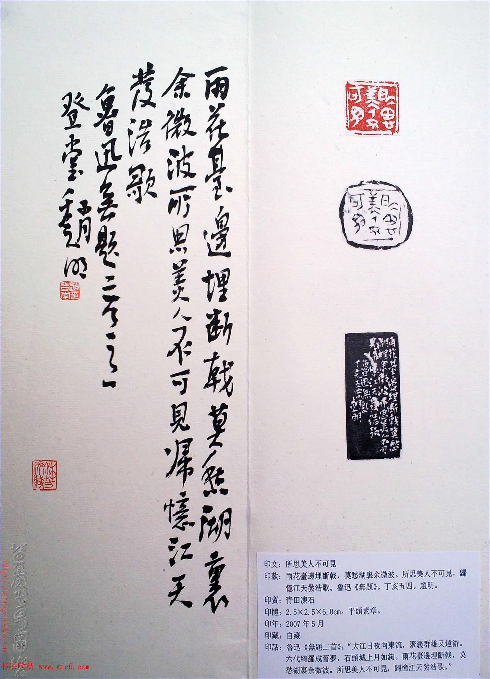 赵明书法篆刻欣赏白文古玺精选寅集