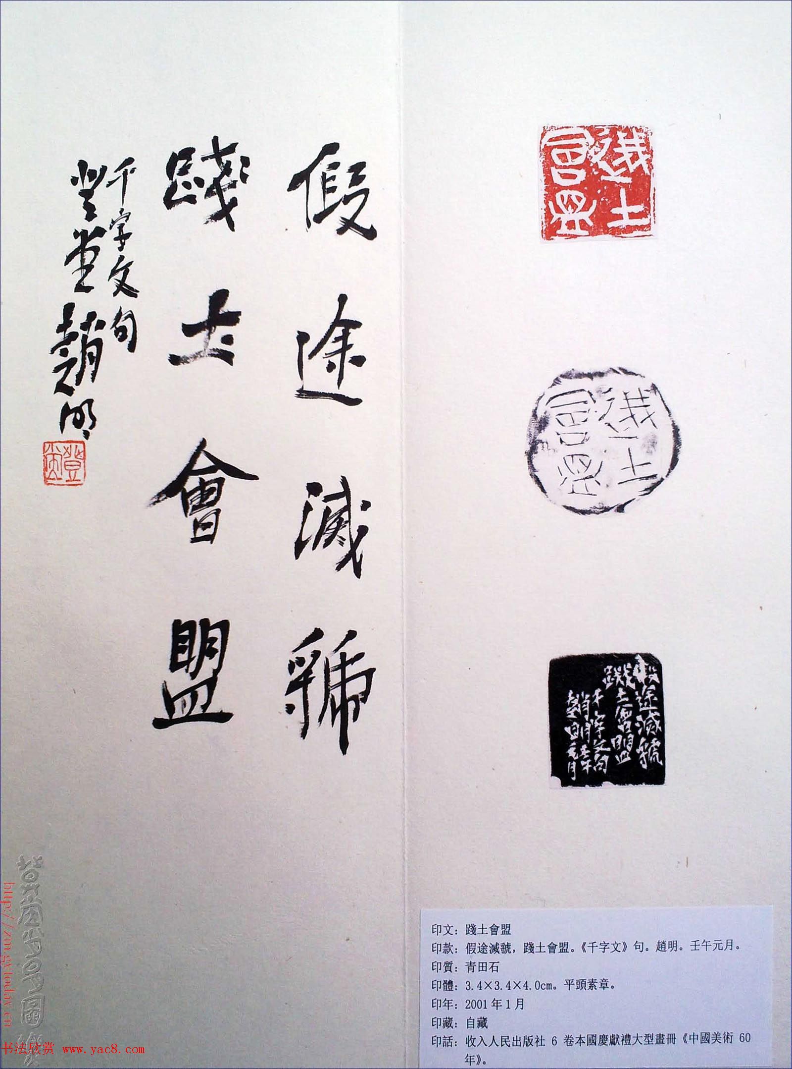 赵明书法篆刻欣赏白文古玺精选寅集