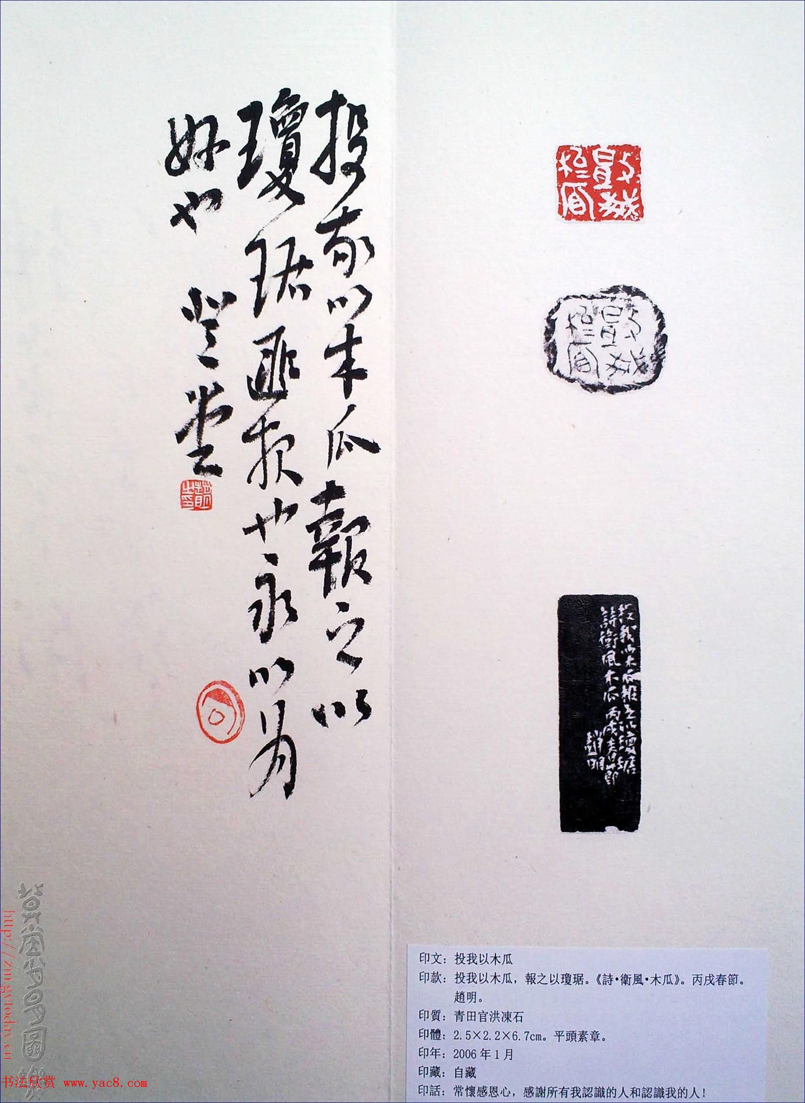 赵明书法篆刻欣赏白文古玺精选寅集