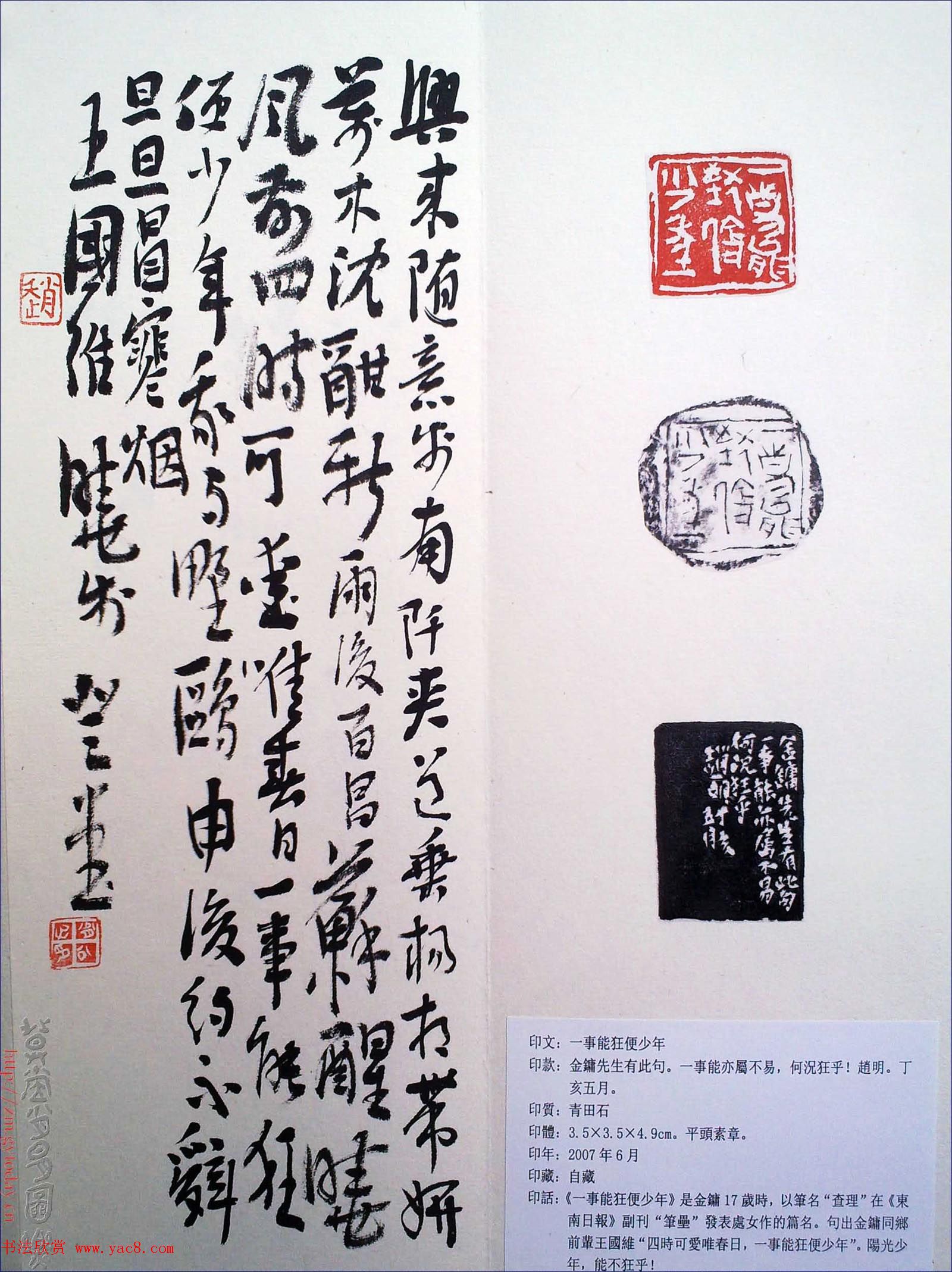 赵明书法篆刻欣赏白文古玺精选寅集