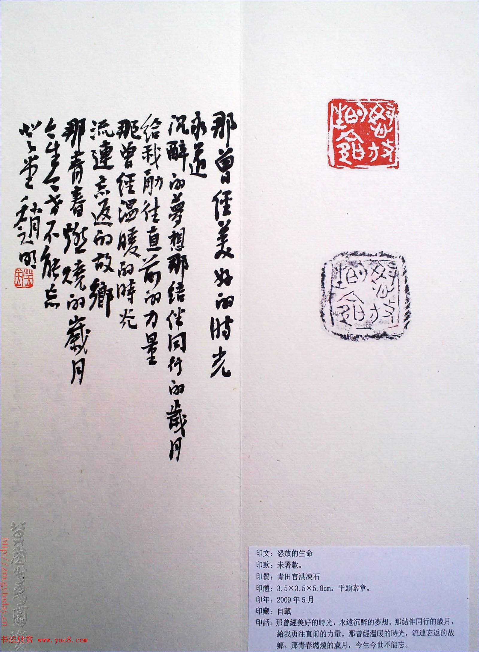 赵明书法篆刻欣赏白文古玺精选寅集