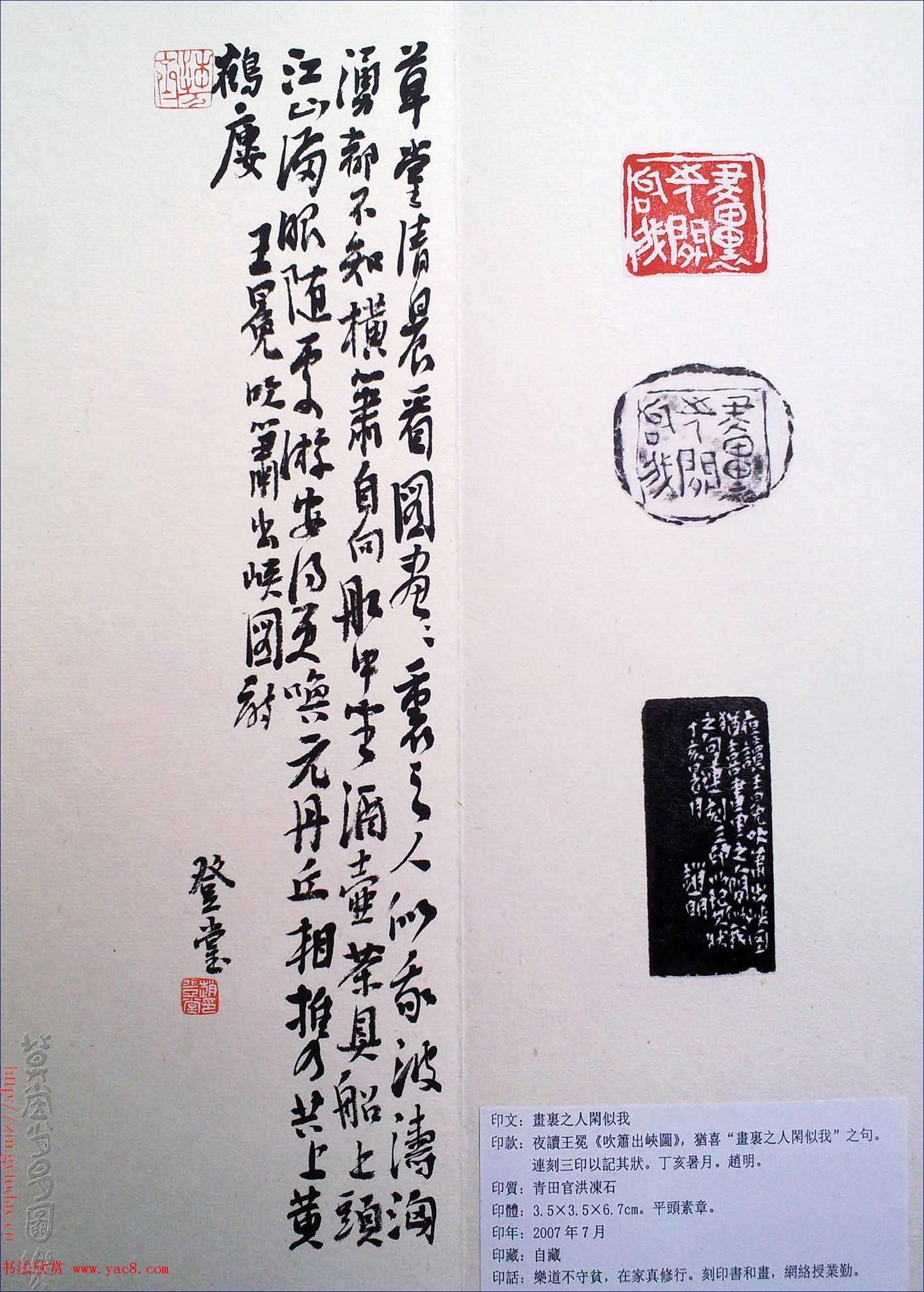 赵明书法篆刻欣赏白文古玺精选寅集