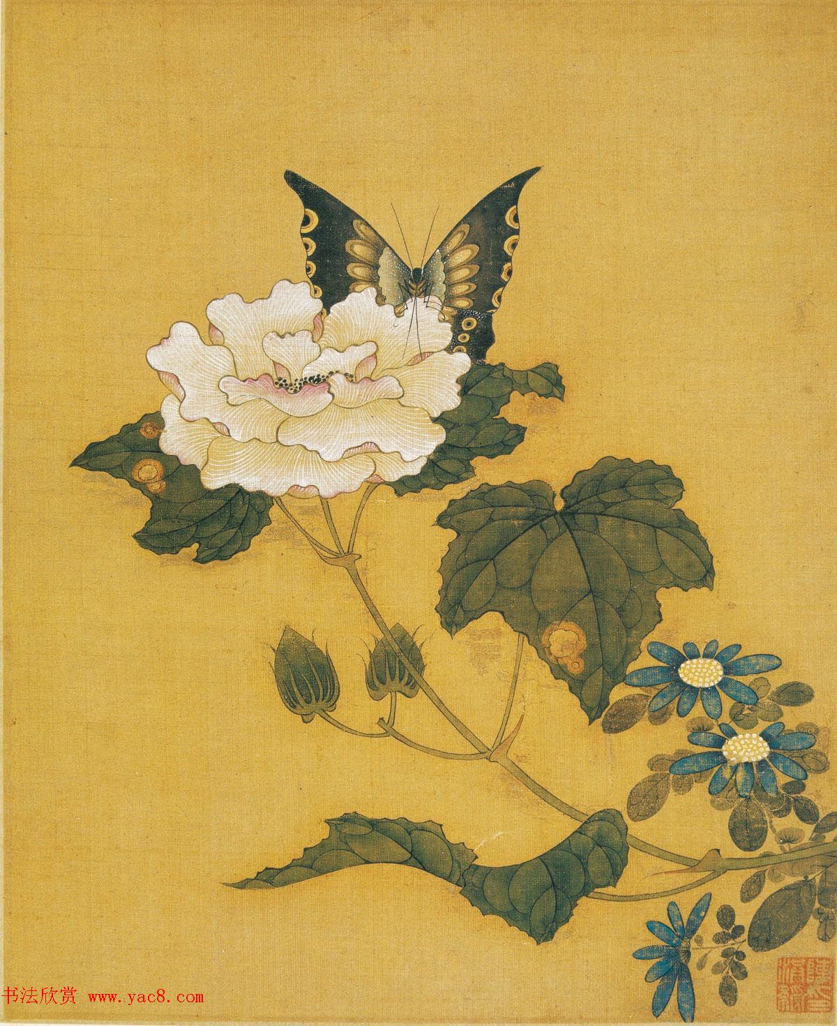 陈洪绶花鸟精品册附谢稚柳唐云书法题跋