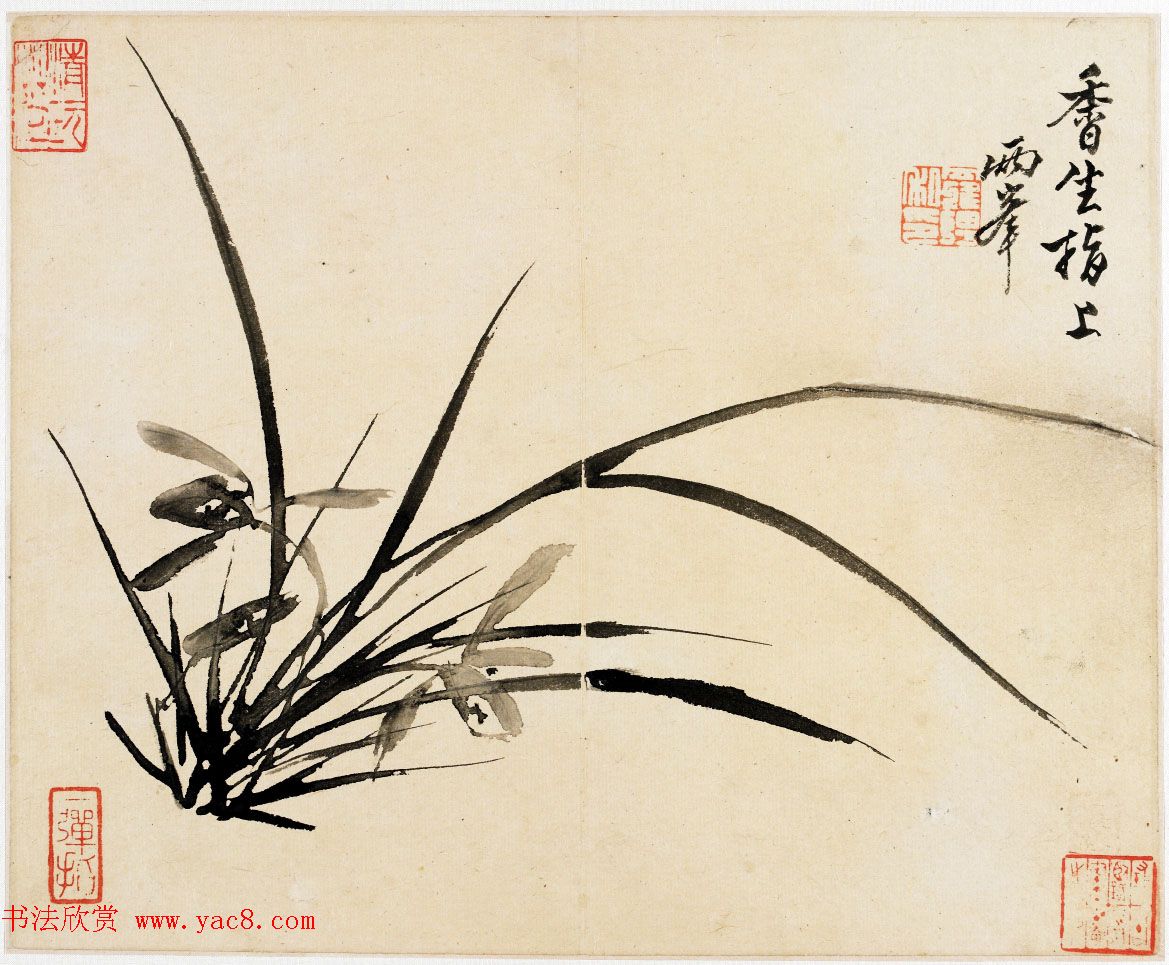 清代罗聘字画欣赏《花鸟山水册》