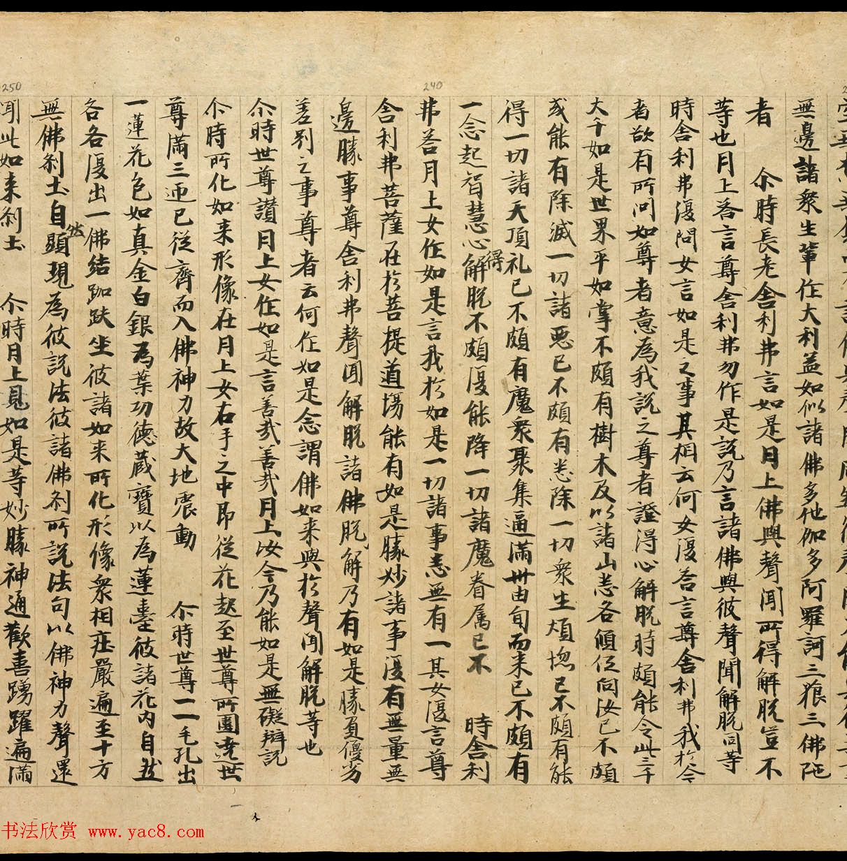 敦煌净土寺藏经《月上女经》上下卷