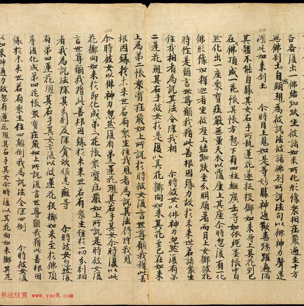 敦煌净土寺藏经《月上女经》上下卷